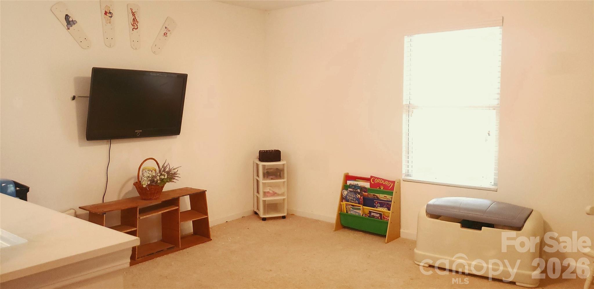 241 Ashcake Court Property Photo 12