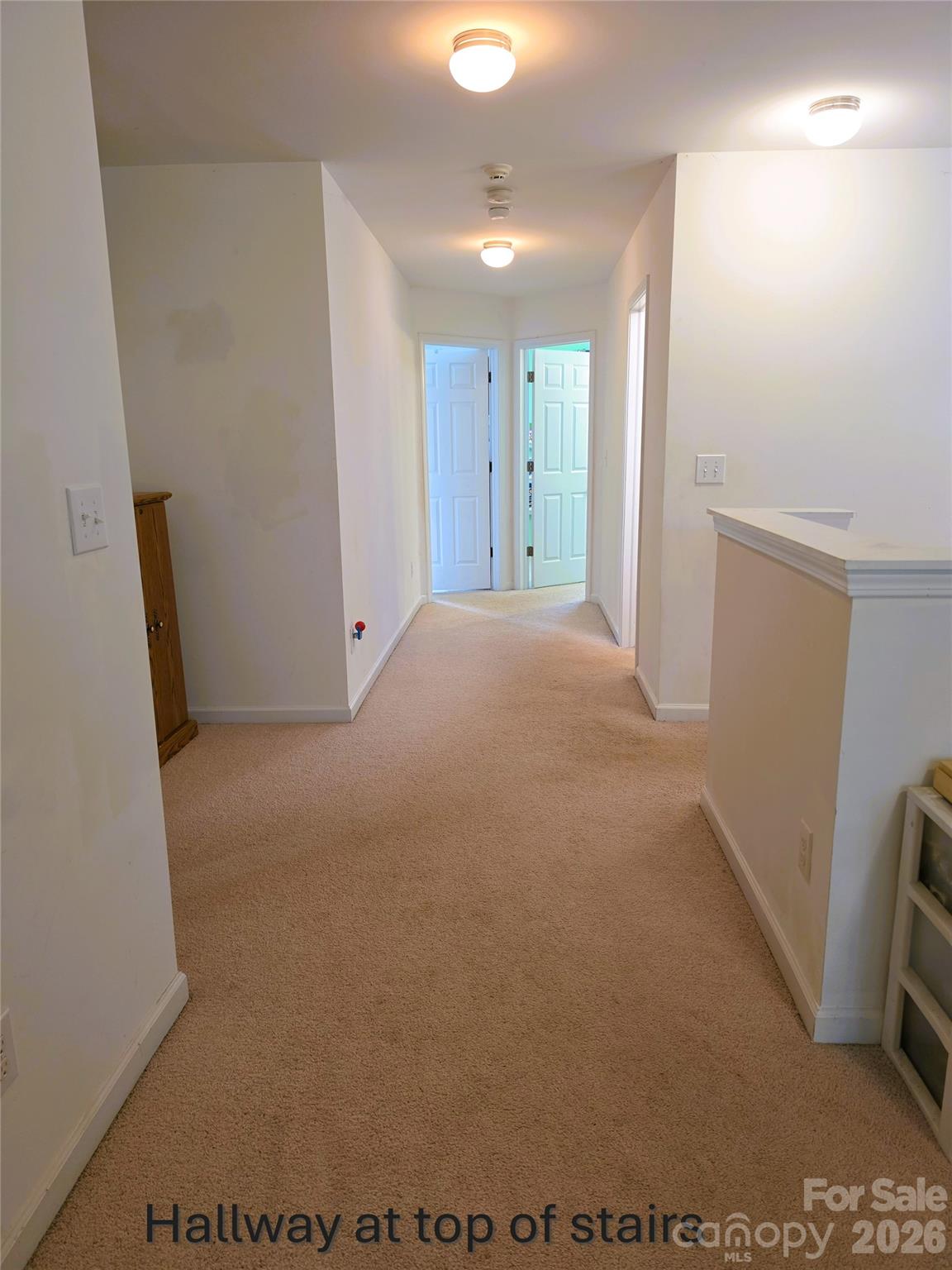 241 Ashcake Court Property Photo 13