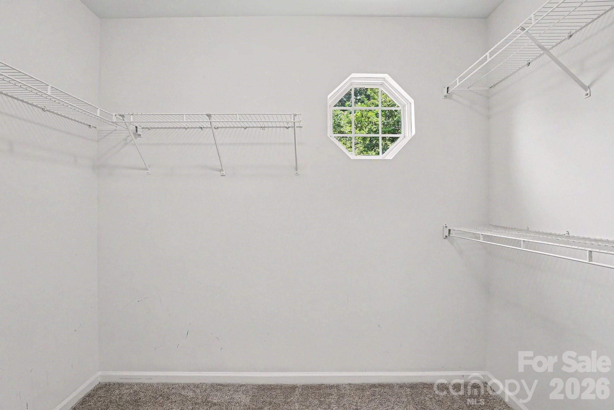 5336 Beam Lake Drive Property Photo 24
