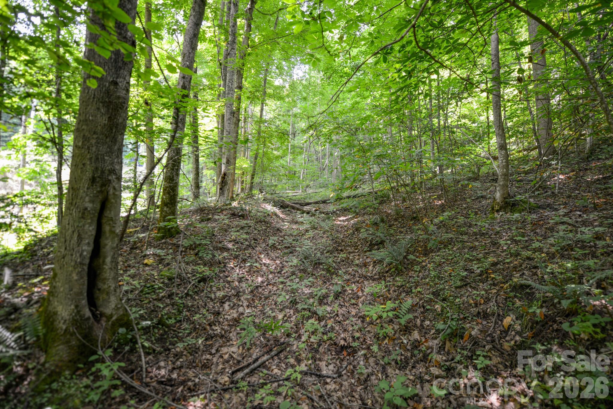 ### Board Tree Road 1 Property Photo 5