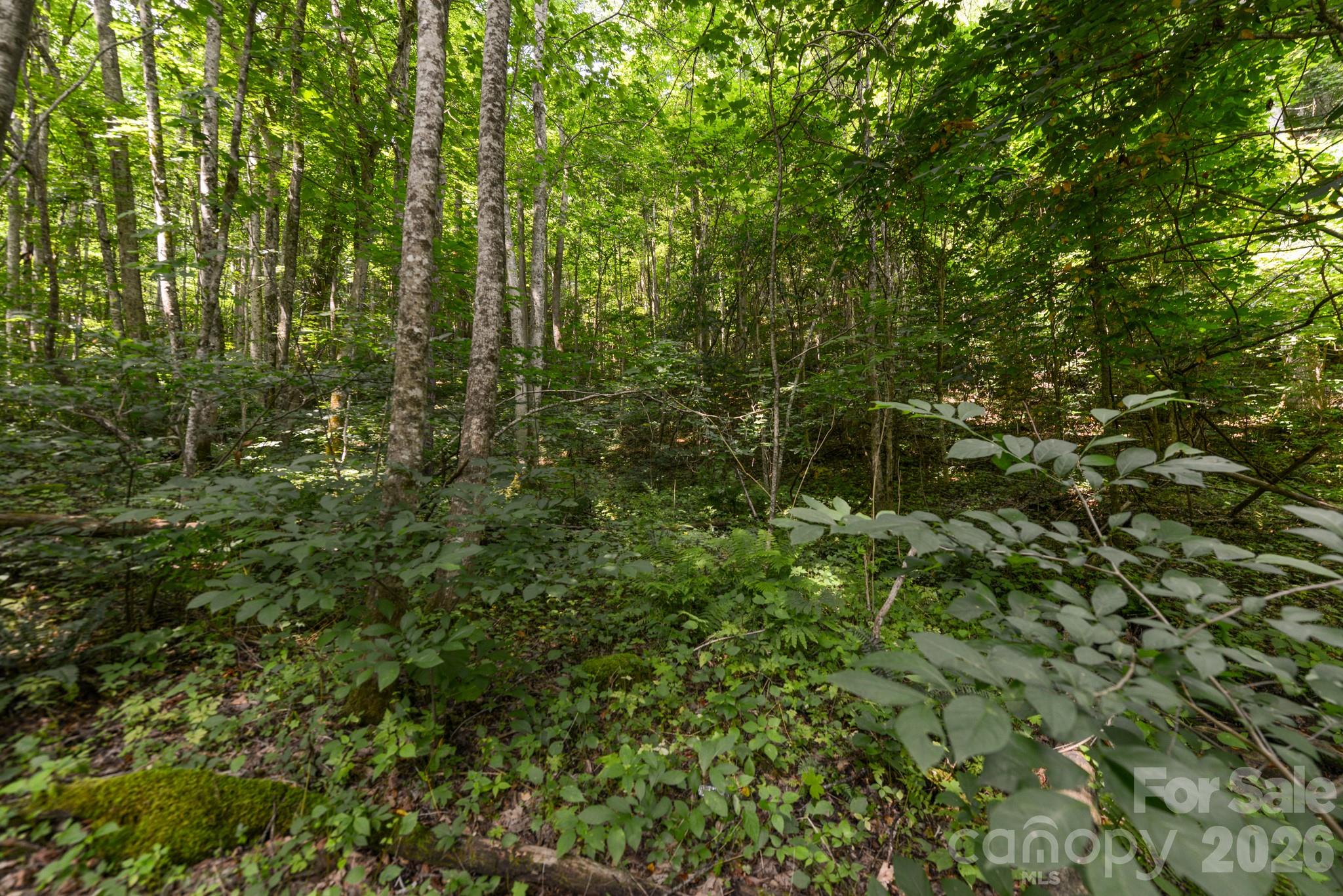### Board Tree Road 1 Property Photo 6