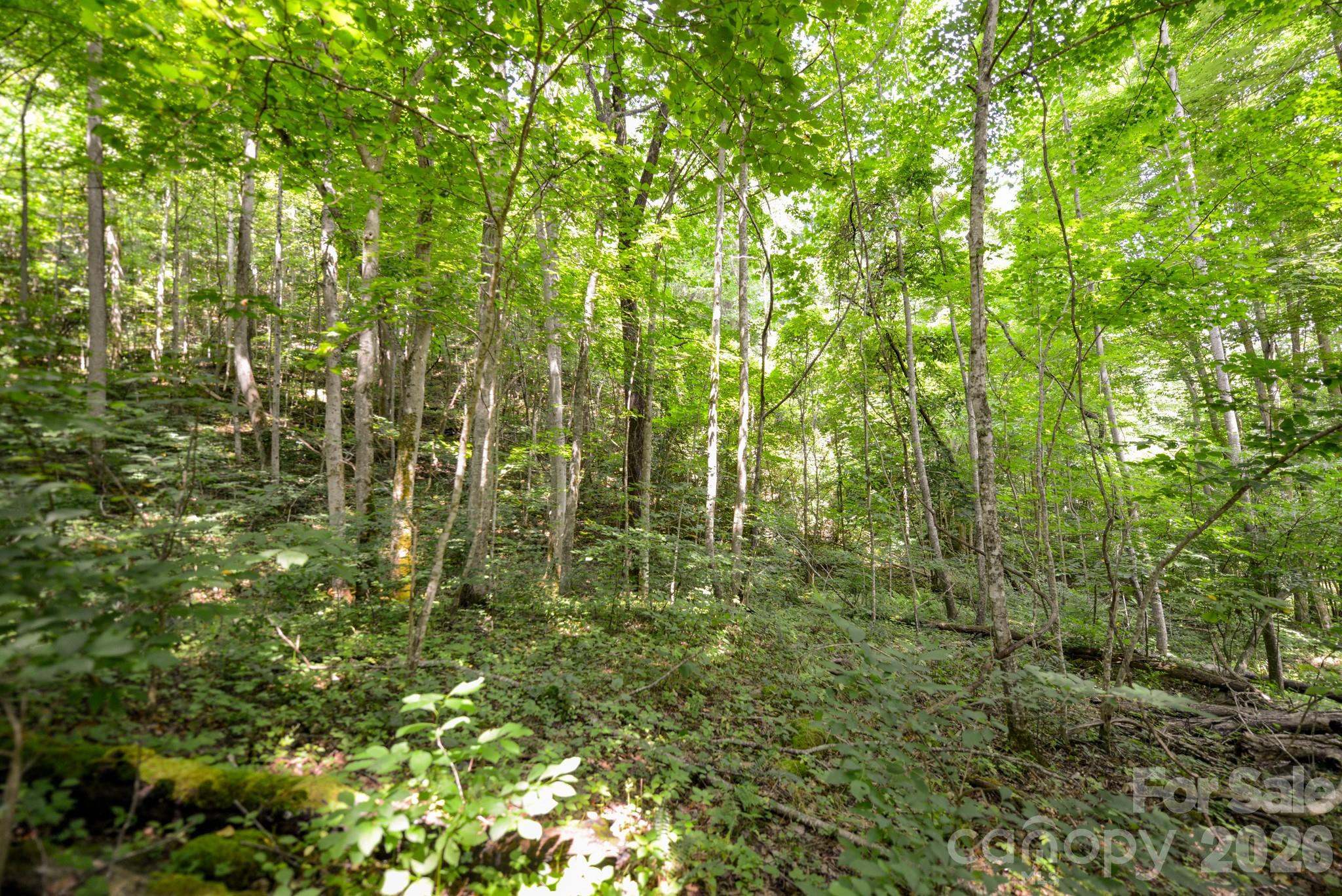 ### Board Tree Road 1 Property Photo 7