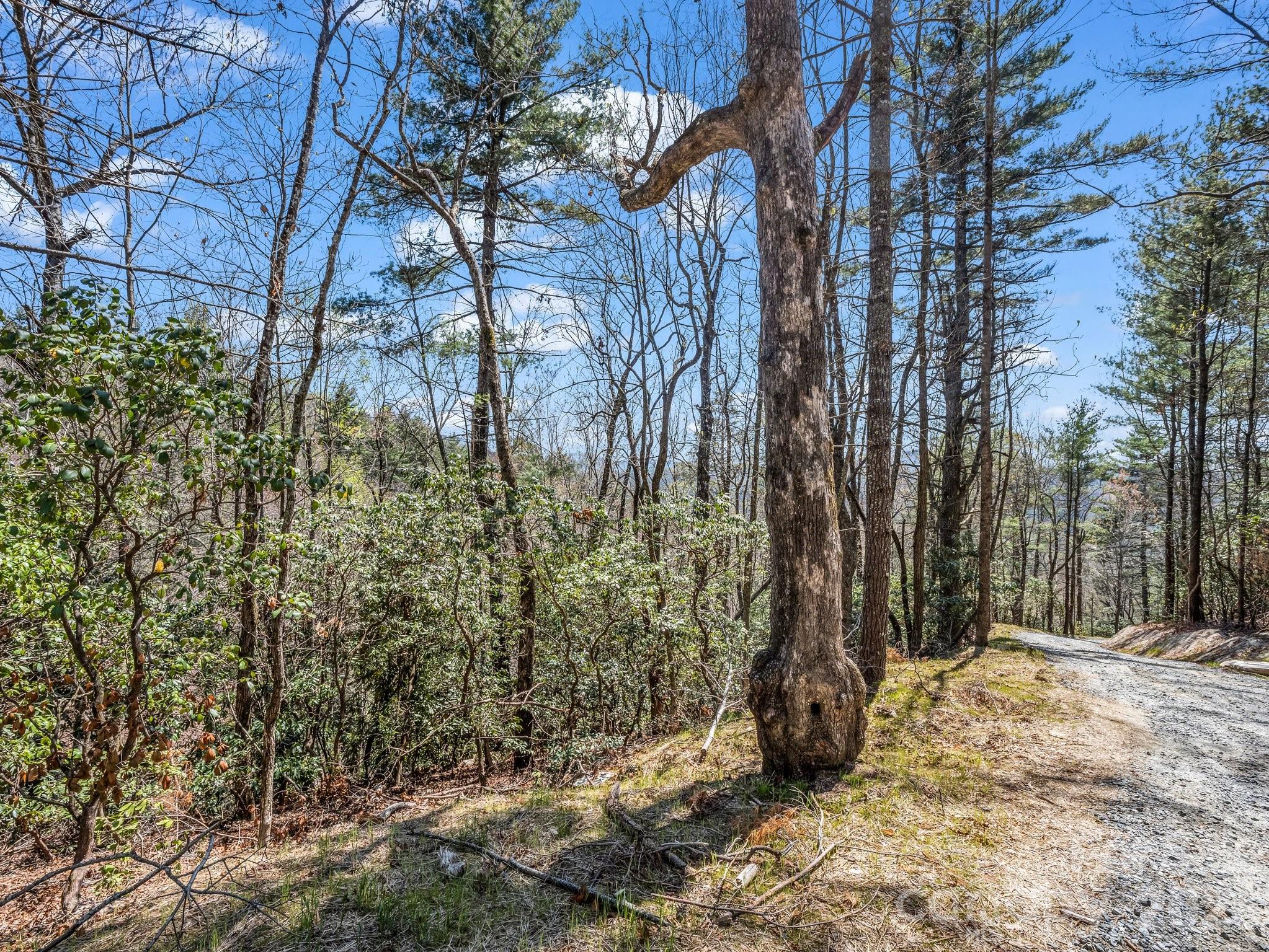 999 Bulling Creek Drive Property Photo 3
