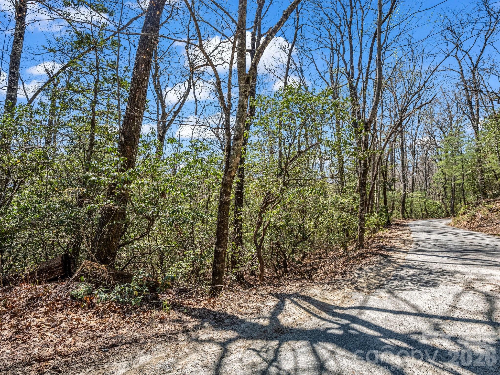 999 Bulling Creek Drive Property Photo 8