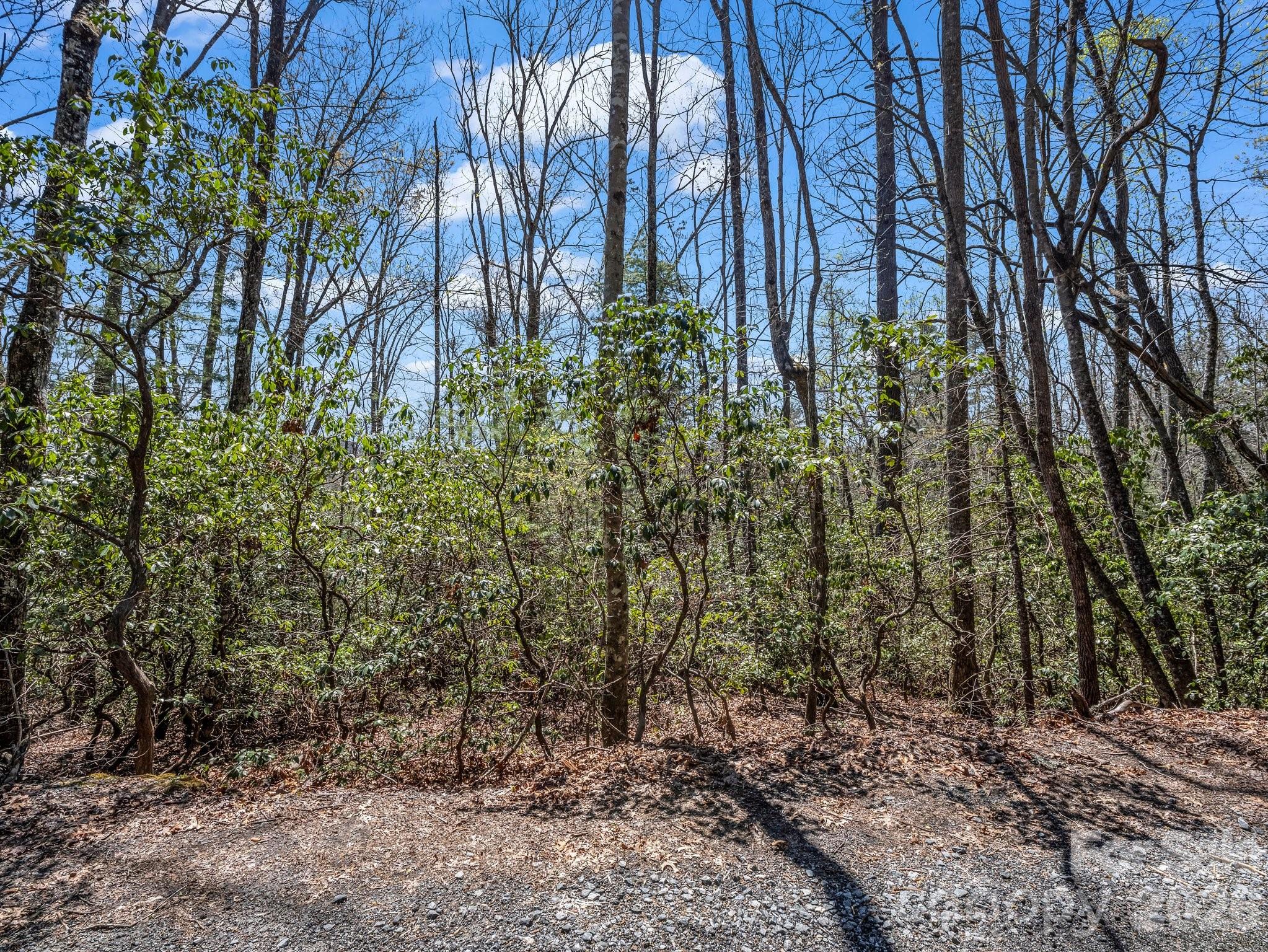 999 Bulling Creek Drive Property Photo 9