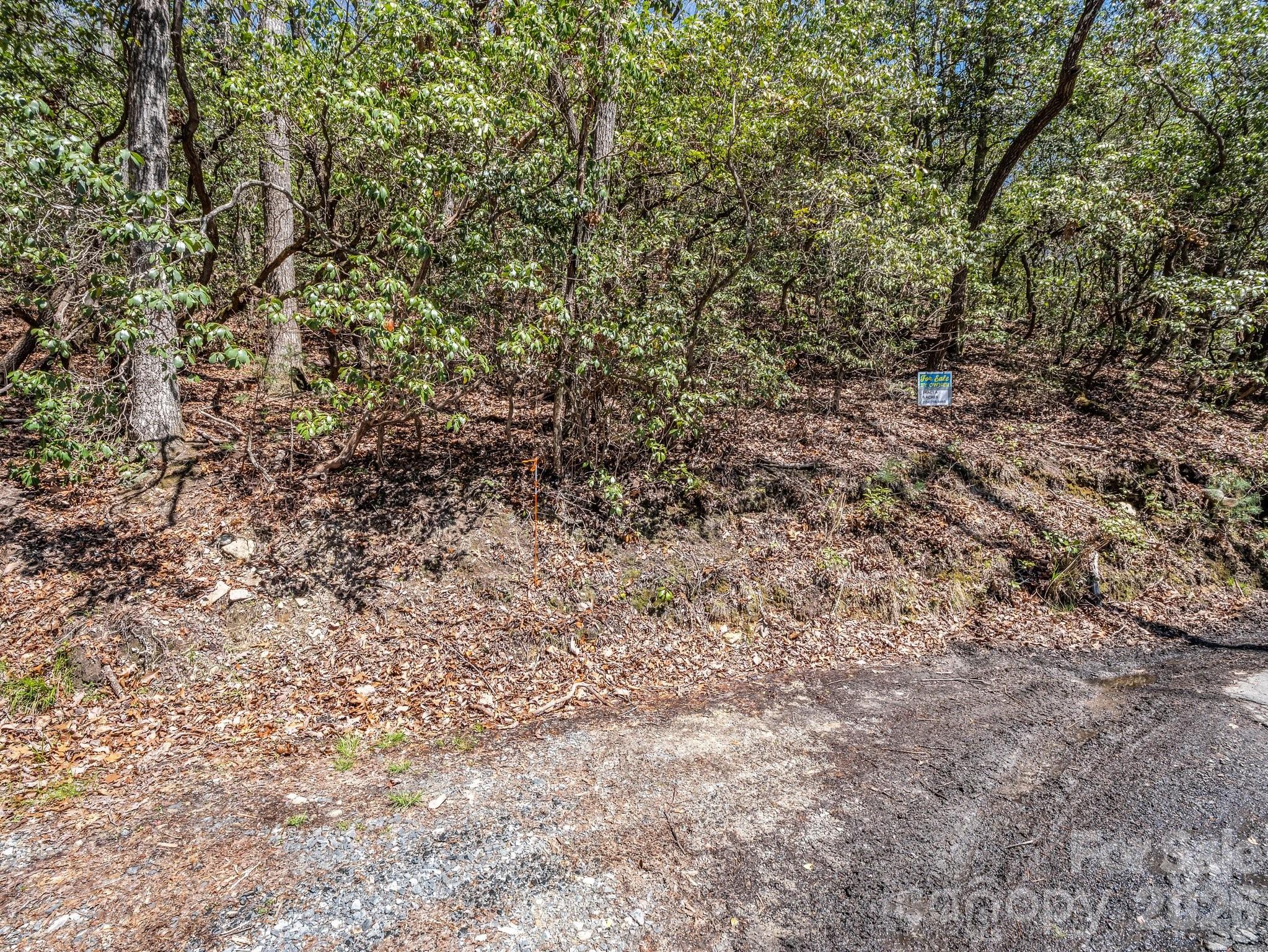 999 Bulling Creek Drive Property Photo 11