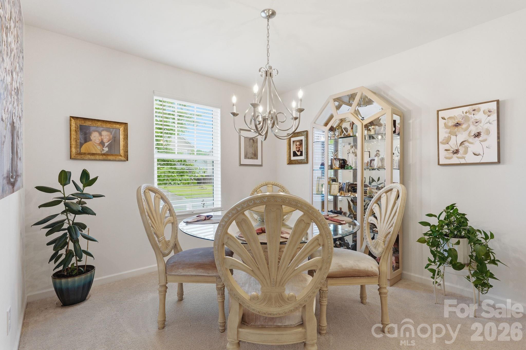 1707 Sawtooth Court Property Photo 20