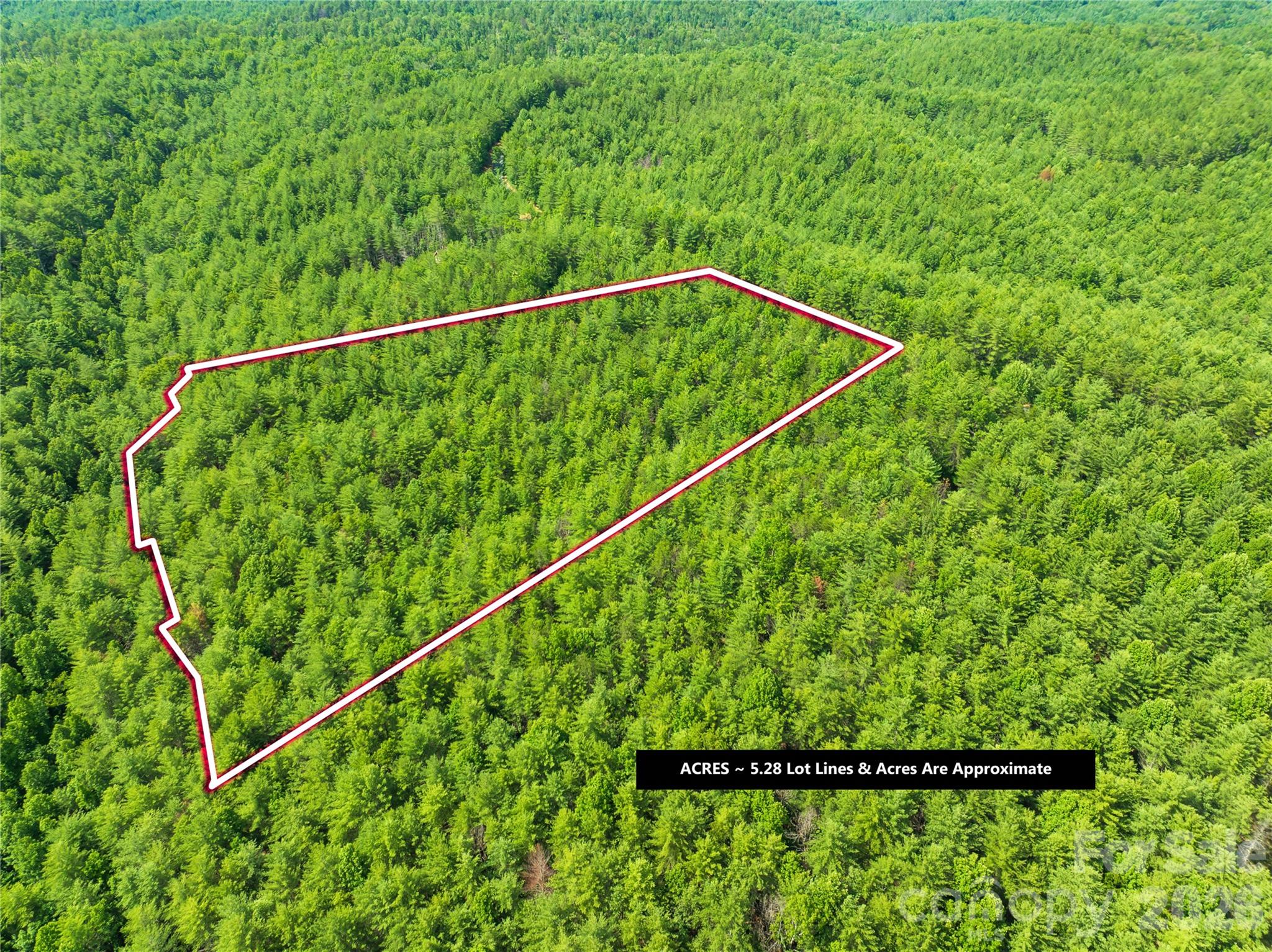 6104 Collette Ridge Circle Property Photo 1