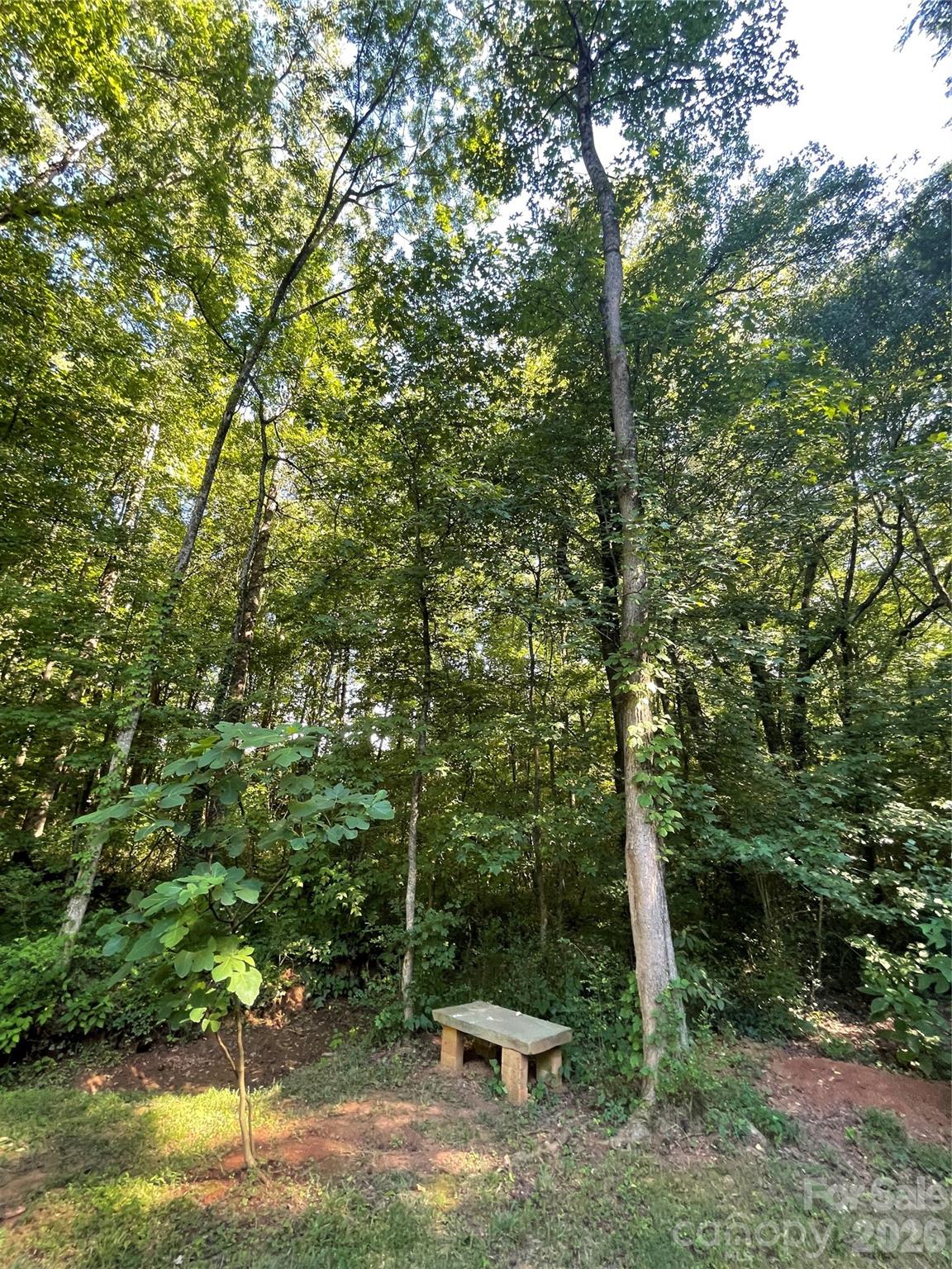 2507 Long Ferry Road Property Photo 10