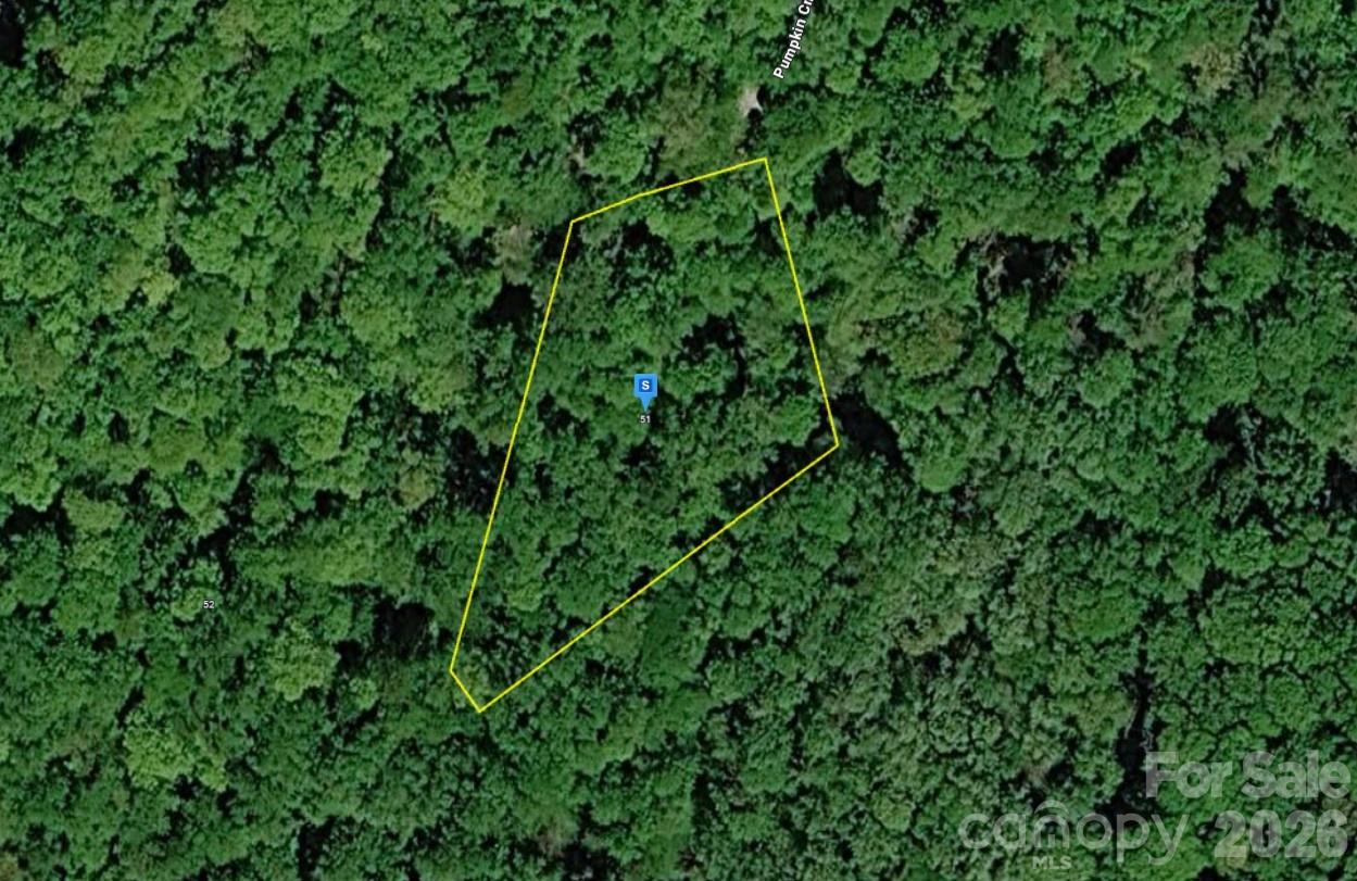 51 Pumpkin Creek Lane Property Photo 1