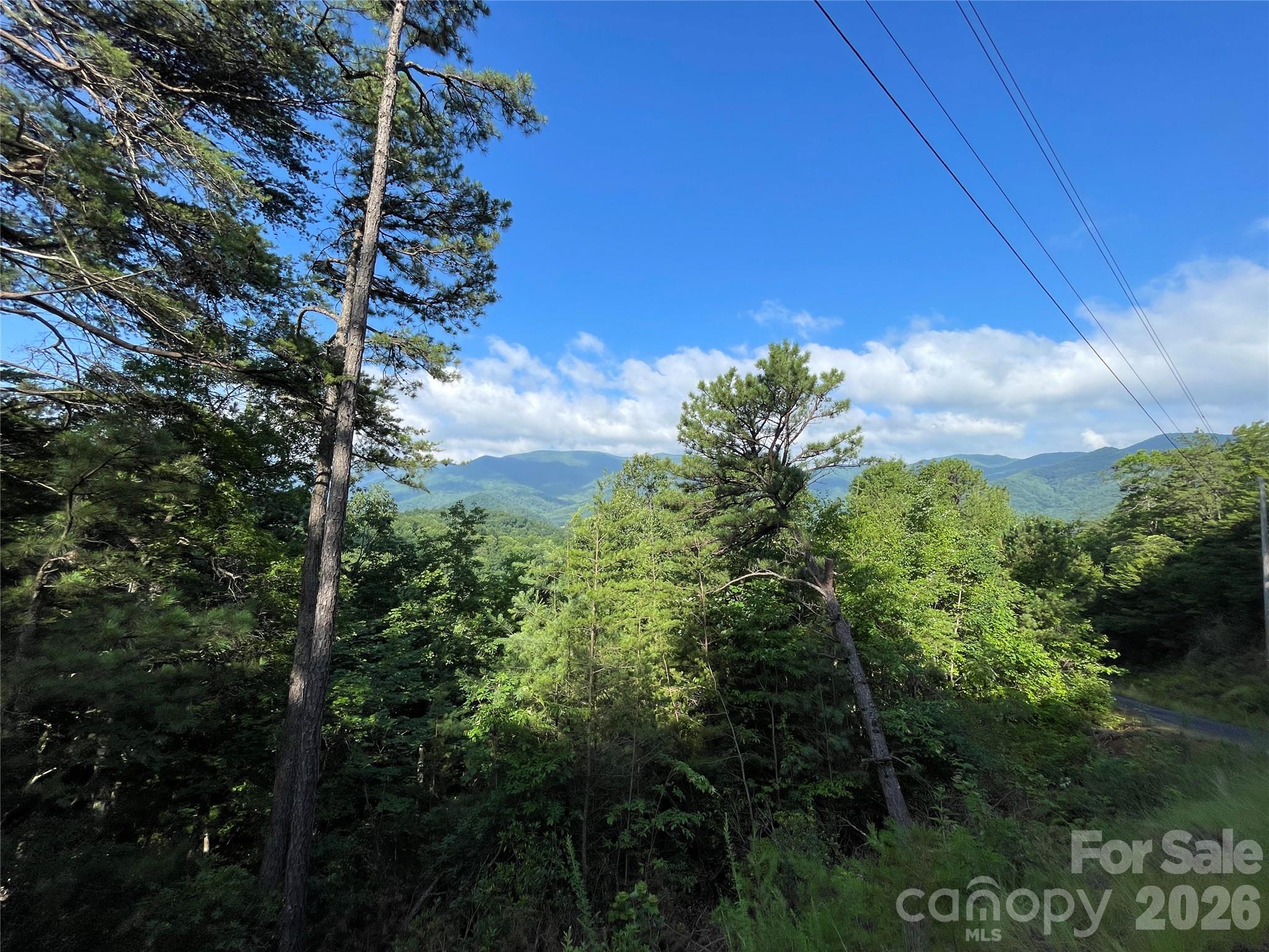 225 Lucerne Drive Property Photo 4