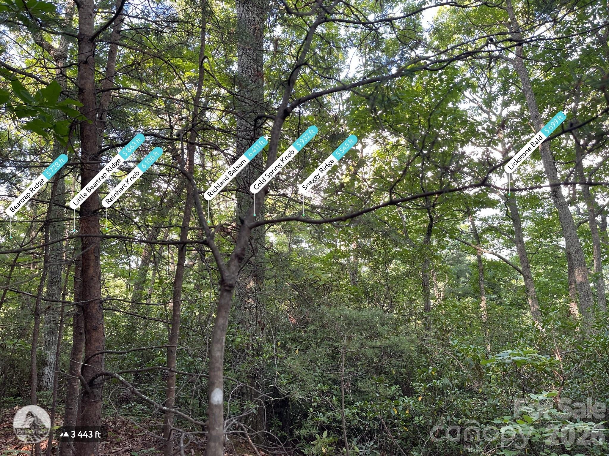 225 Lucerne Drive Property Photo 5