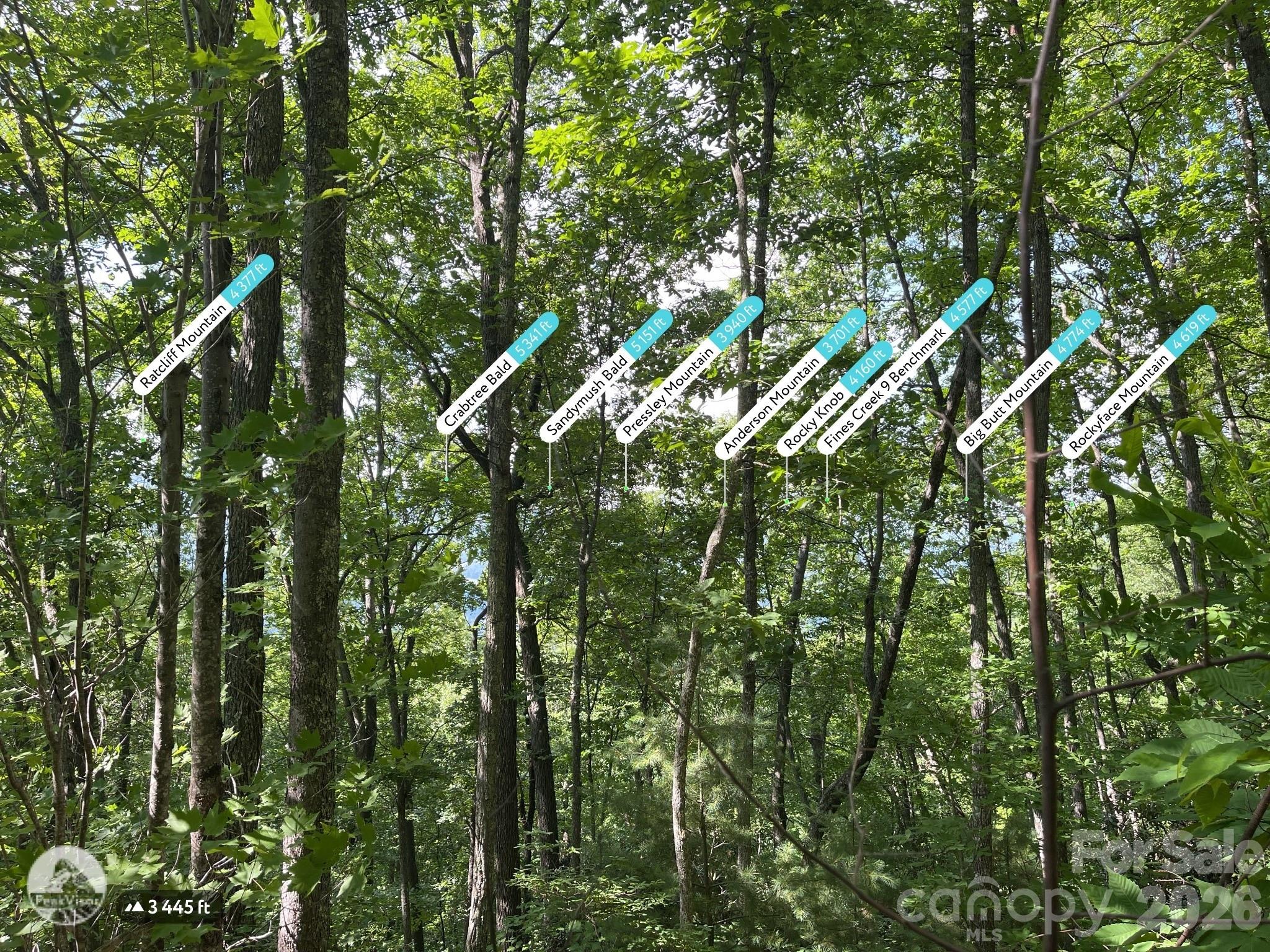 225 Lucerne Drive Property Photo 7