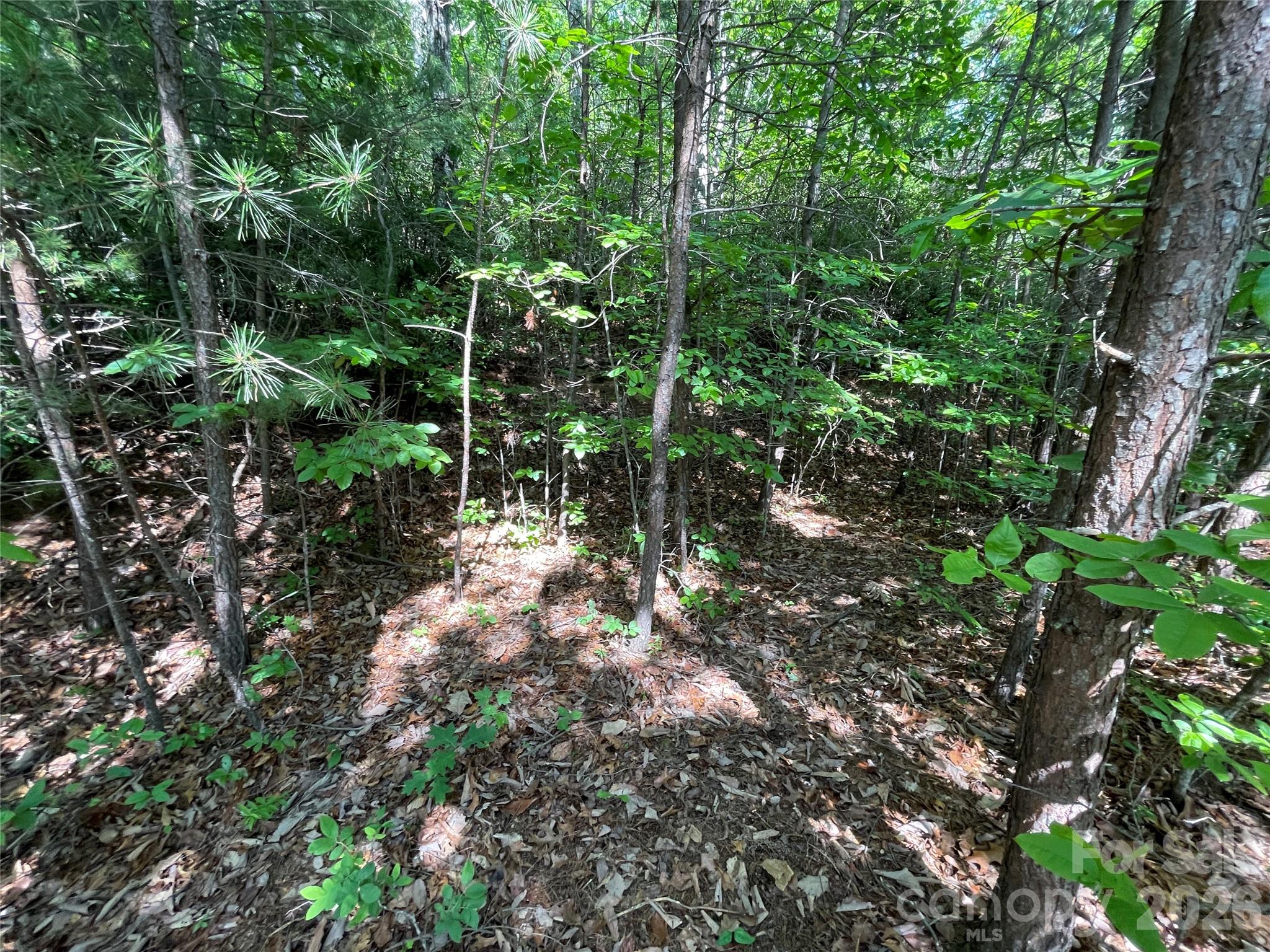 225 Lucerne Drive Property Photo 13