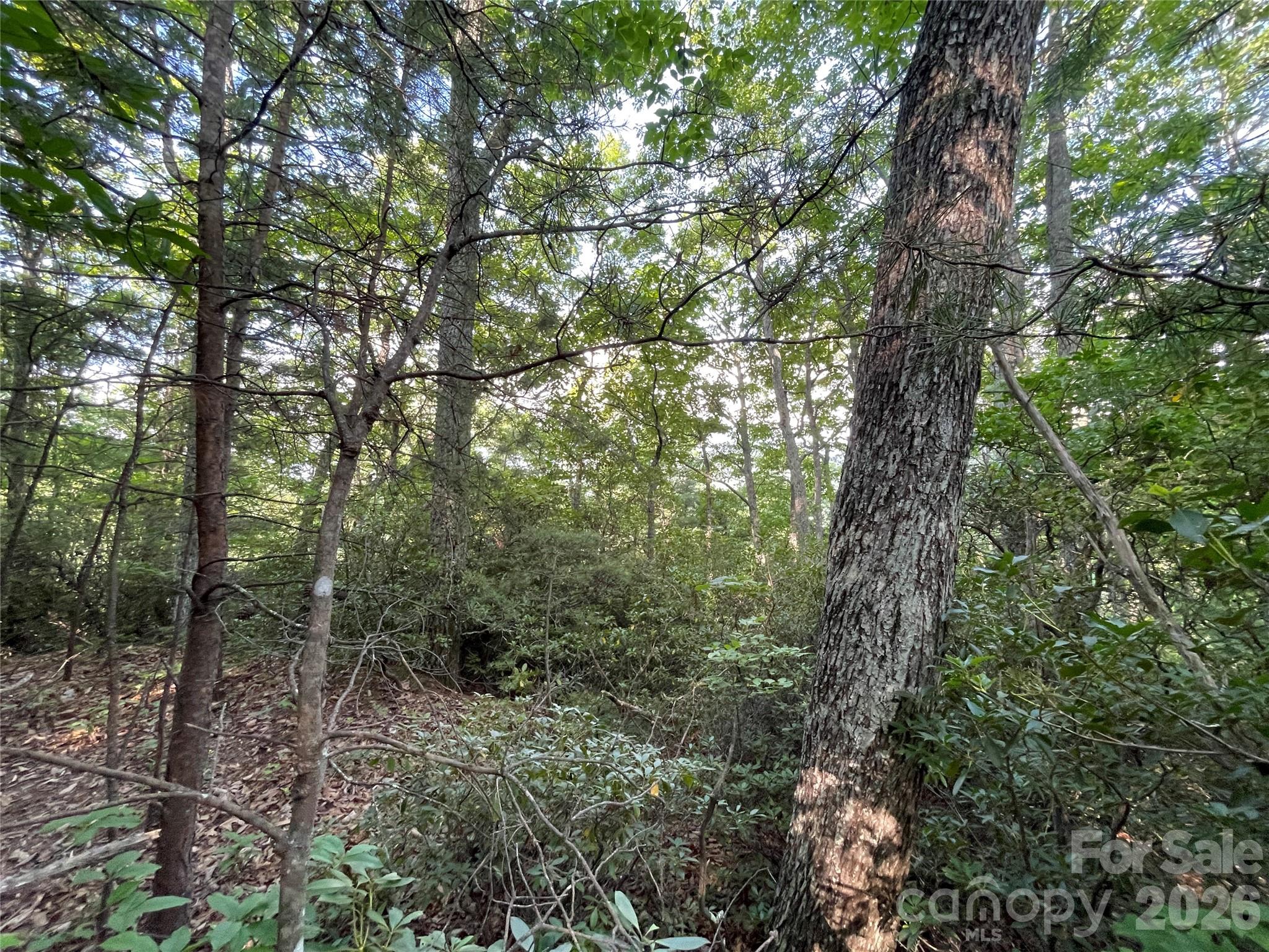 225 Lucerne Drive Property Photo 15