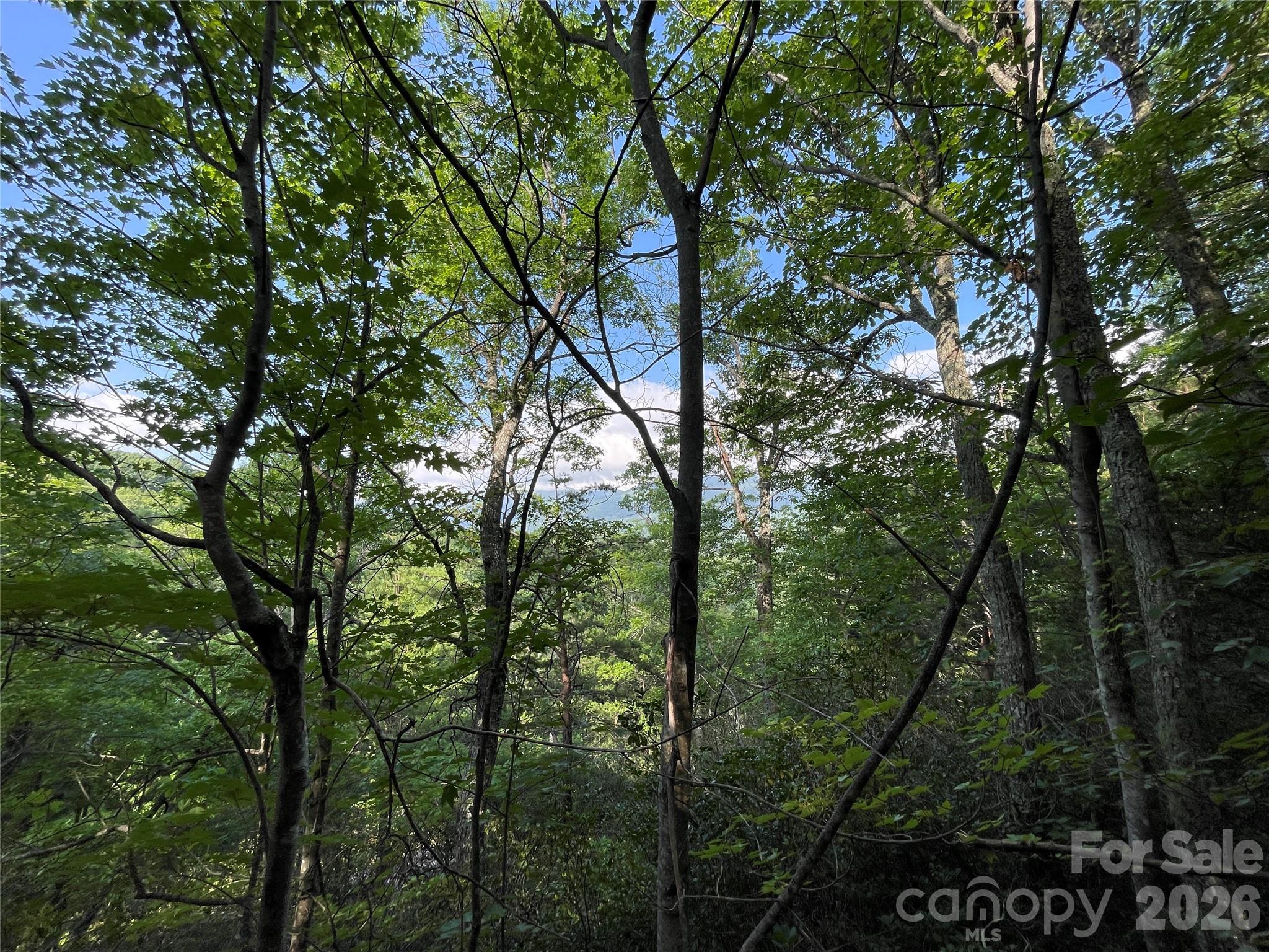225 Lucerne Drive Property Photo 19