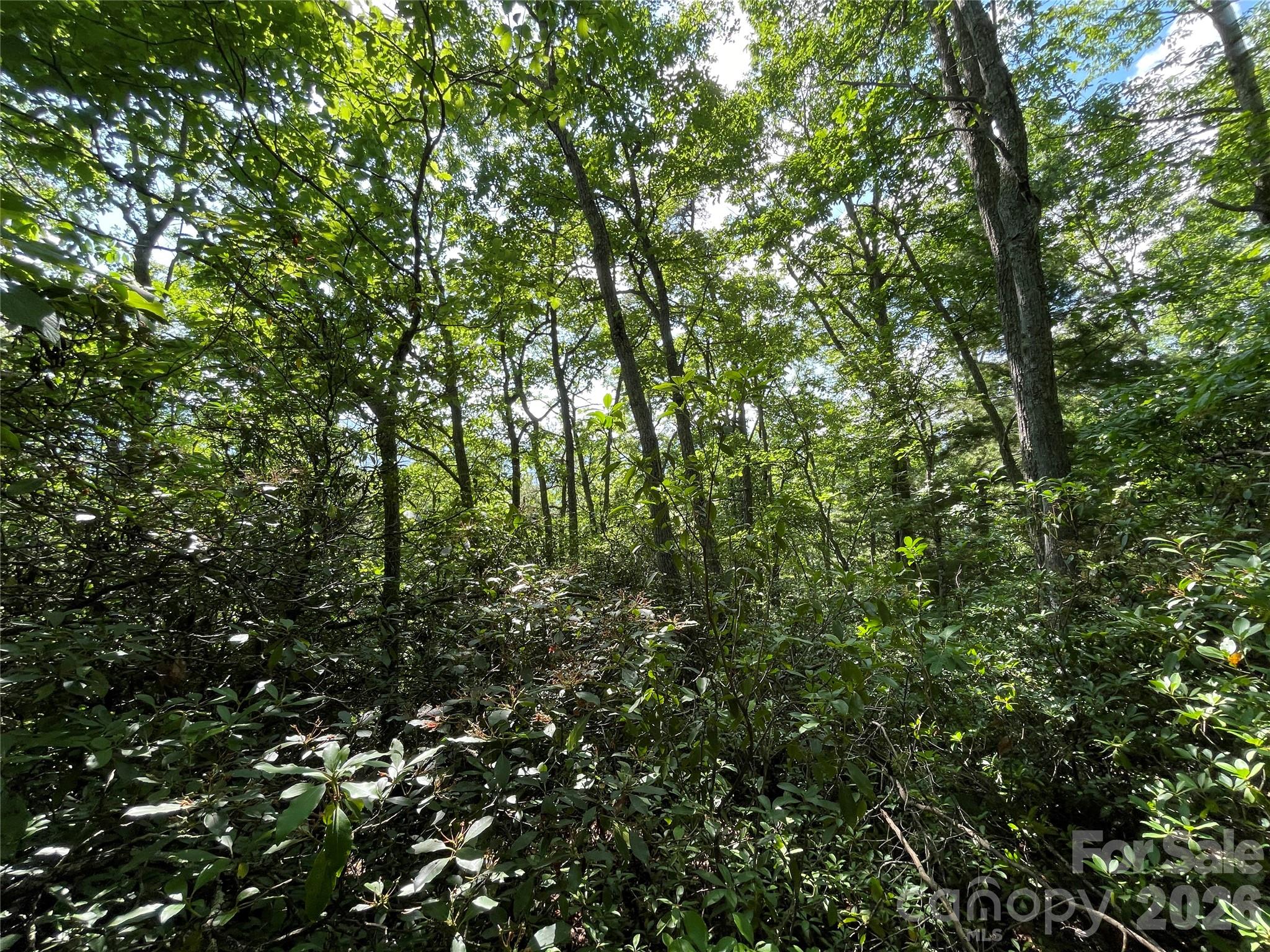 225 Lucerne Drive Property Photo 28