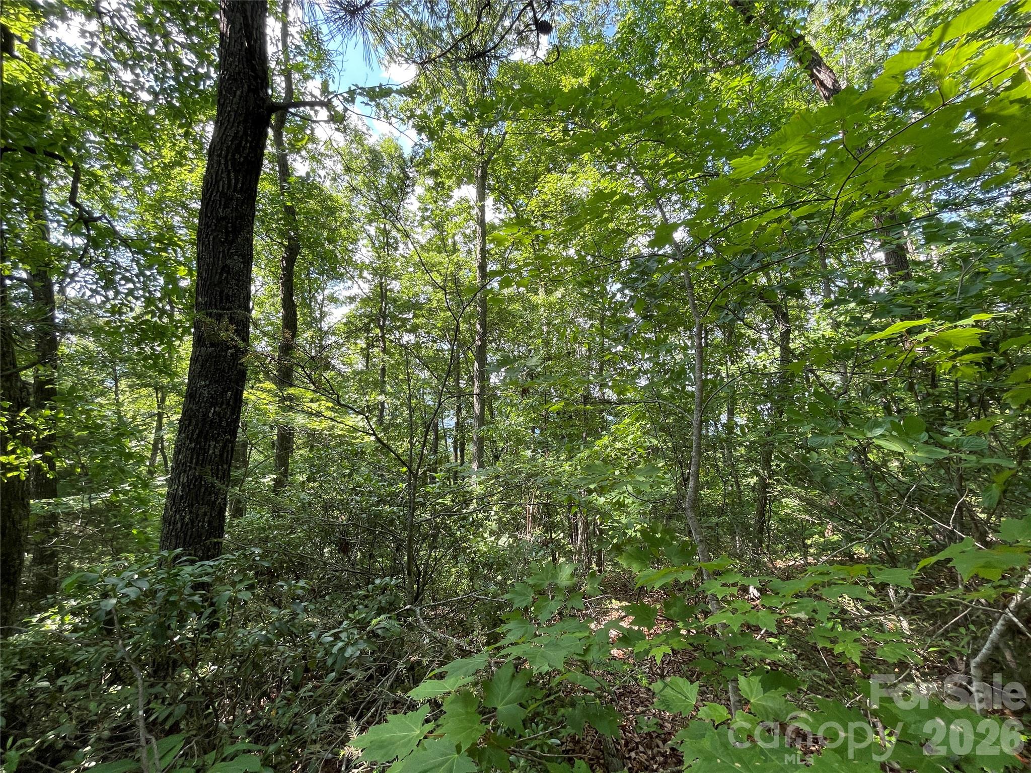 225 Lucerne Drive Property Photo 29