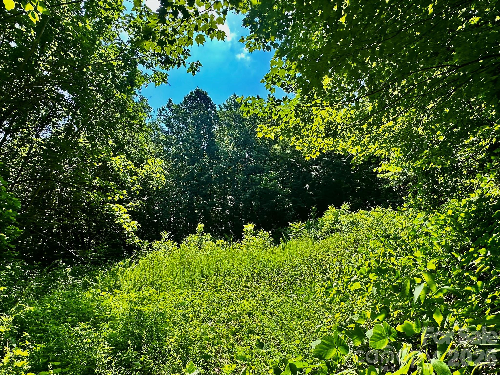 75 Fork Creek Road Property Photo 1