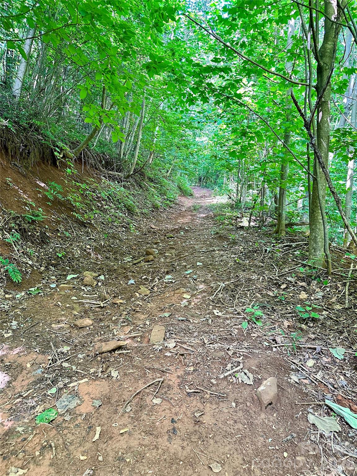 75 Fork Creek Road Property Photo 2