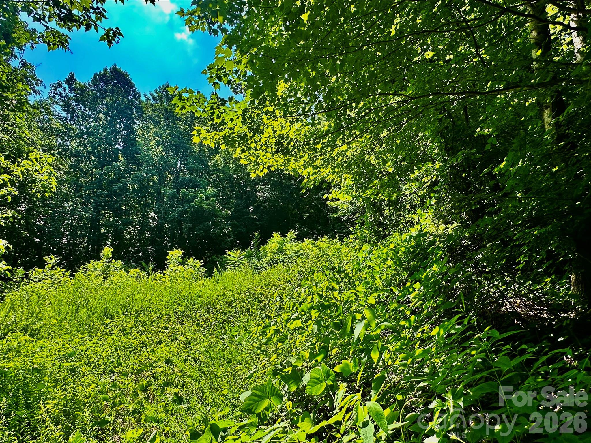 75 Fork Creek Road Property Photo 4