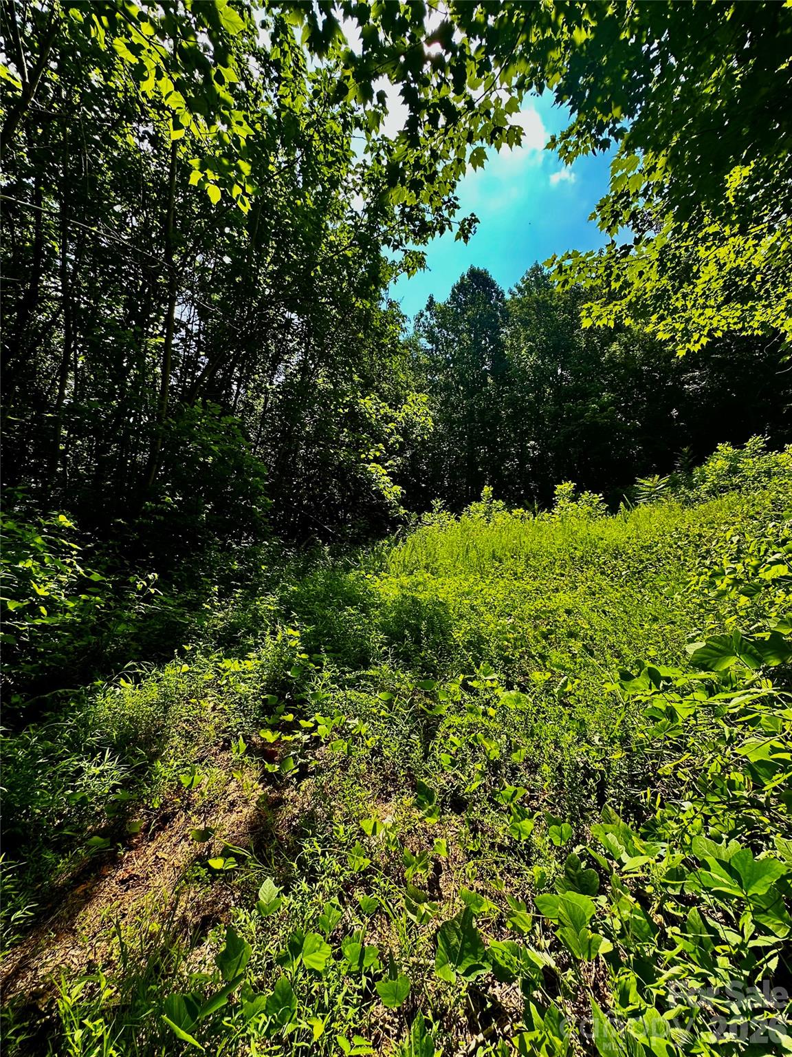 75 Fork Creek Road Property Photo 6