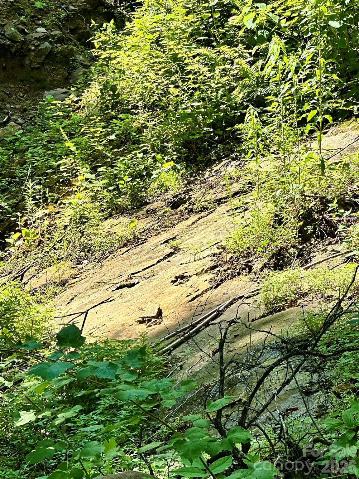 75 Fork Creek Road Property Photo 7