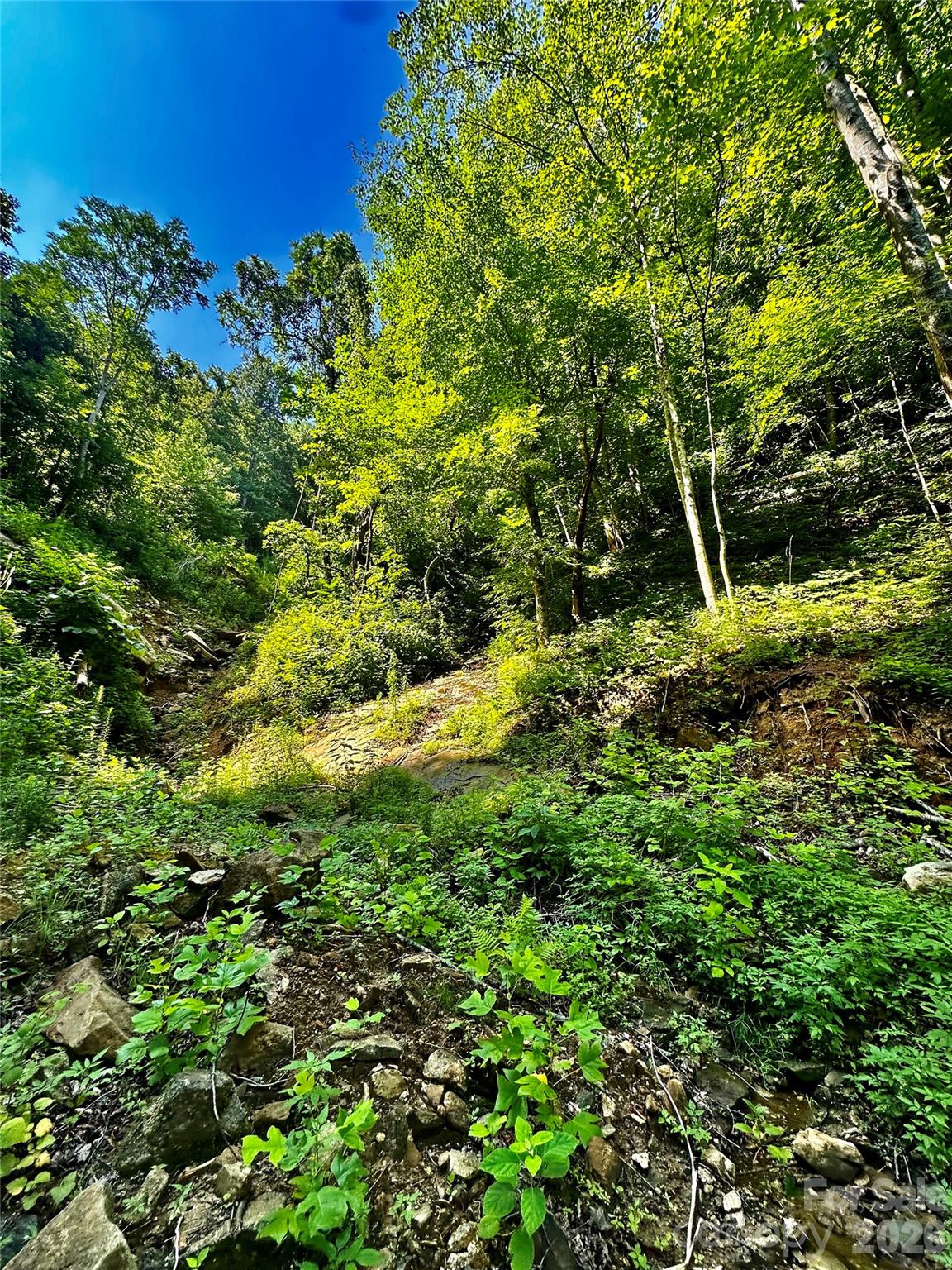 75 Fork Creek Road Property Photo 12