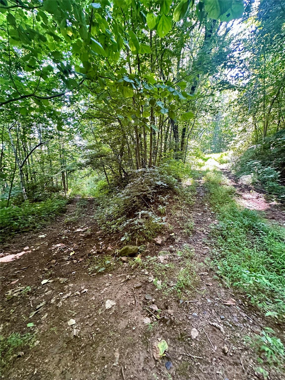 75 Fork Creek Road Property Photo 15