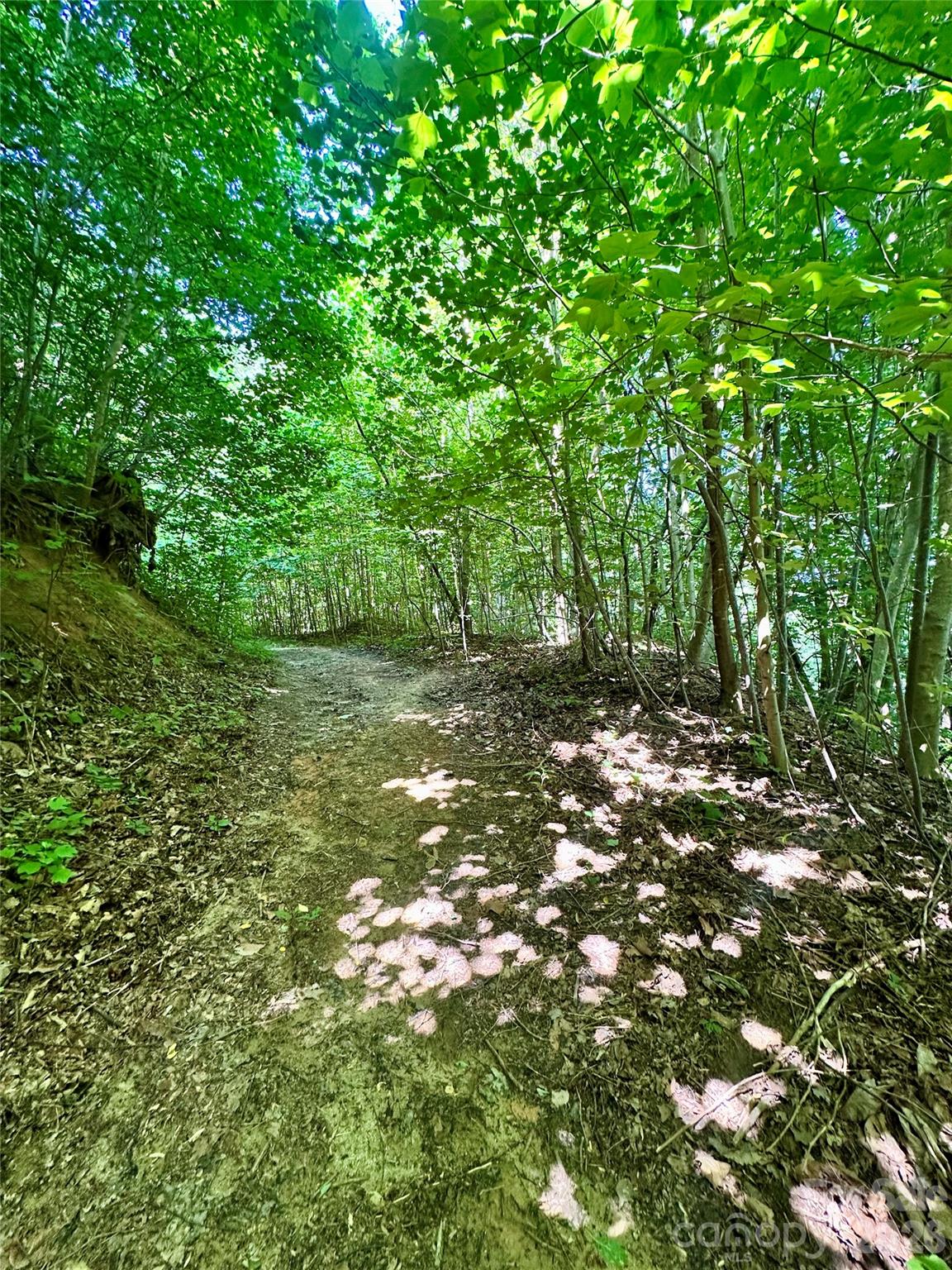 75 Fork Creek Road Property Photo 17