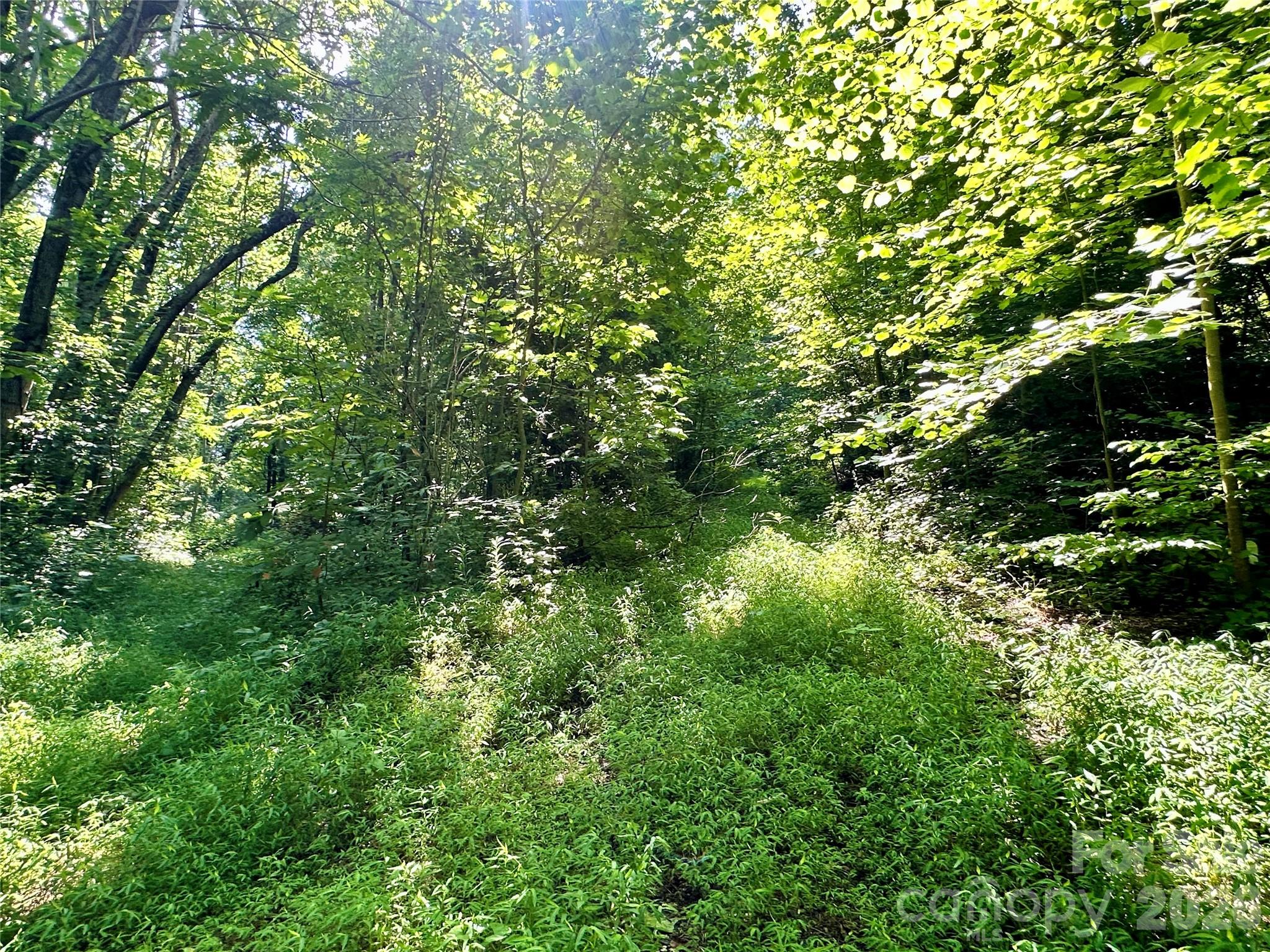 75 Fork Creek Road Property Photo 20