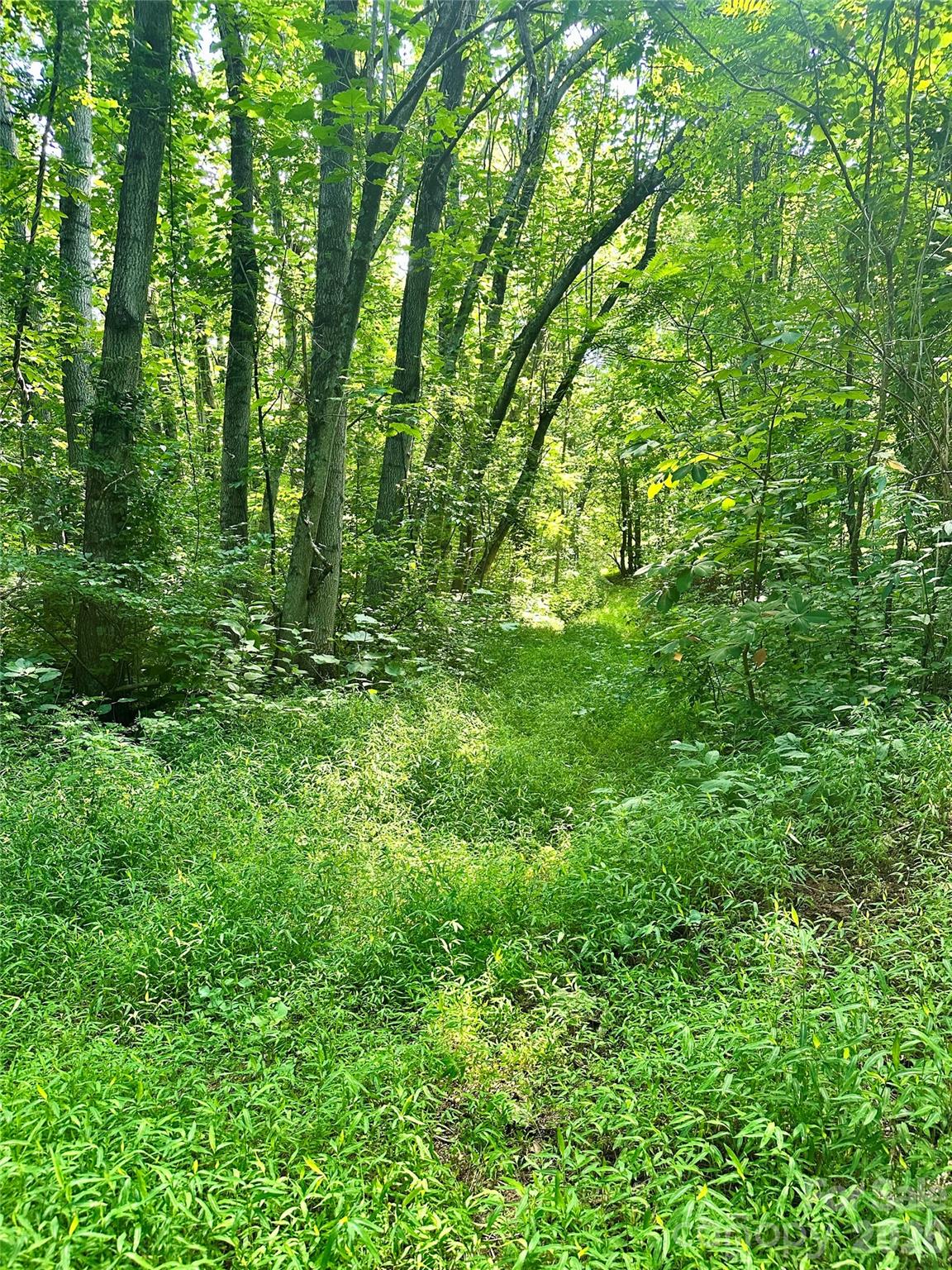 75 Fork Creek Road Property Photo 21