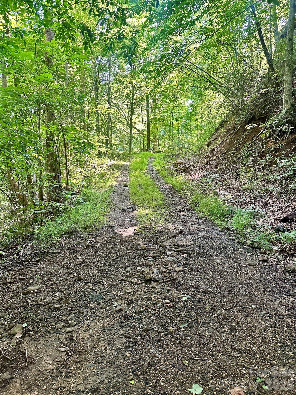 75 Fork Creek Road Property Photo 22