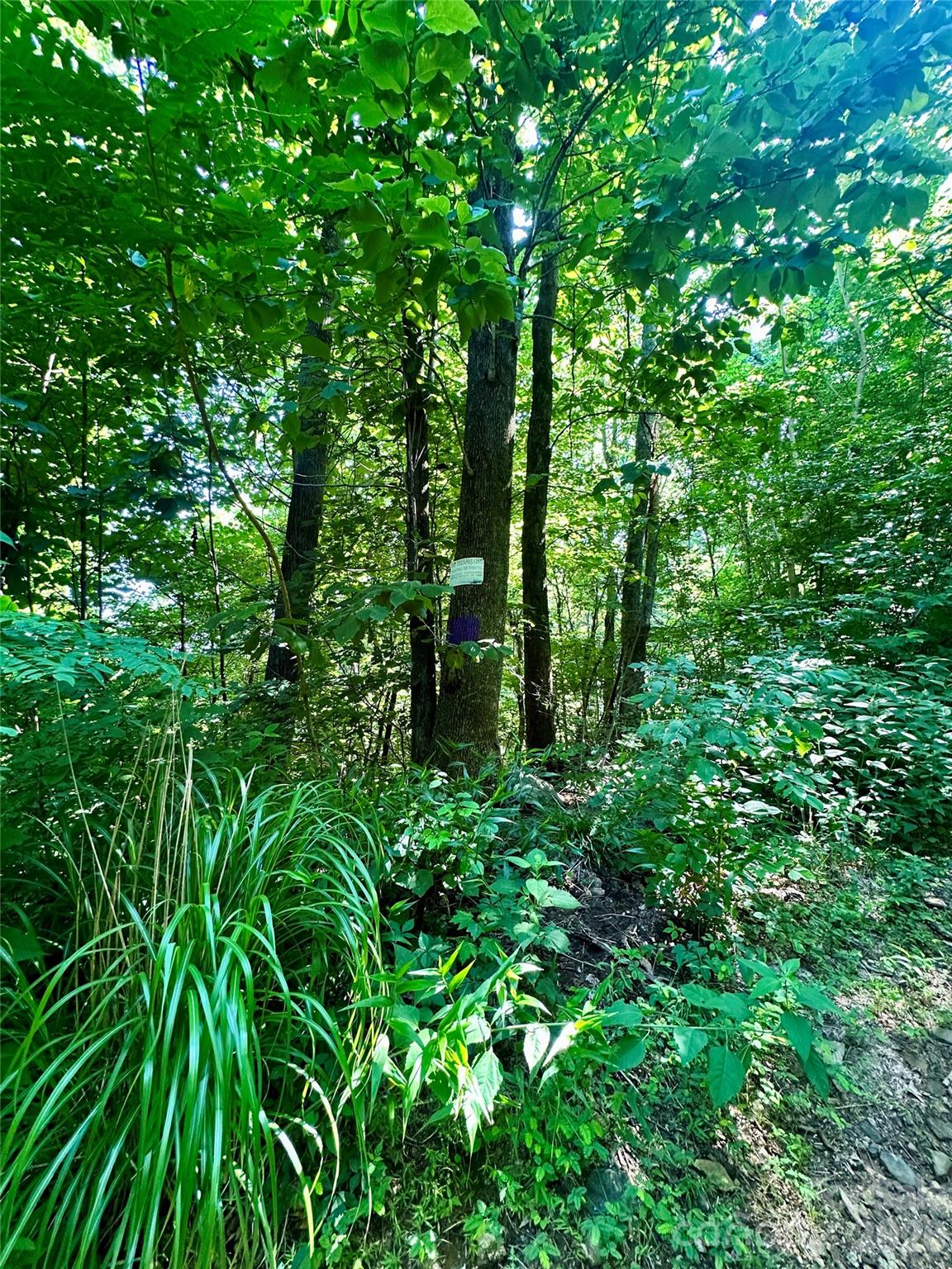 75 Fork Creek Road Property Photo 24
