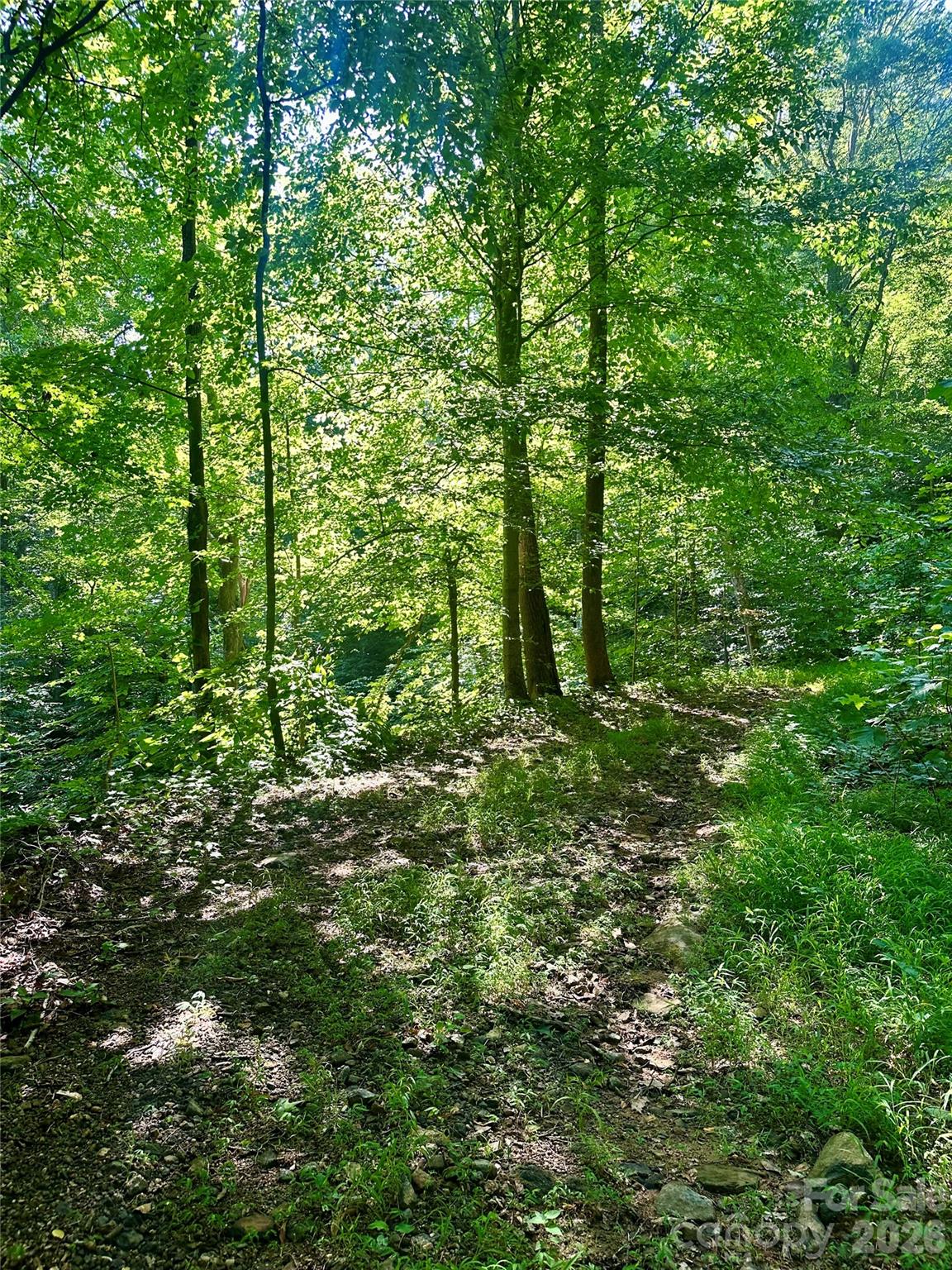 75 Fork Creek Road Property Photo 25