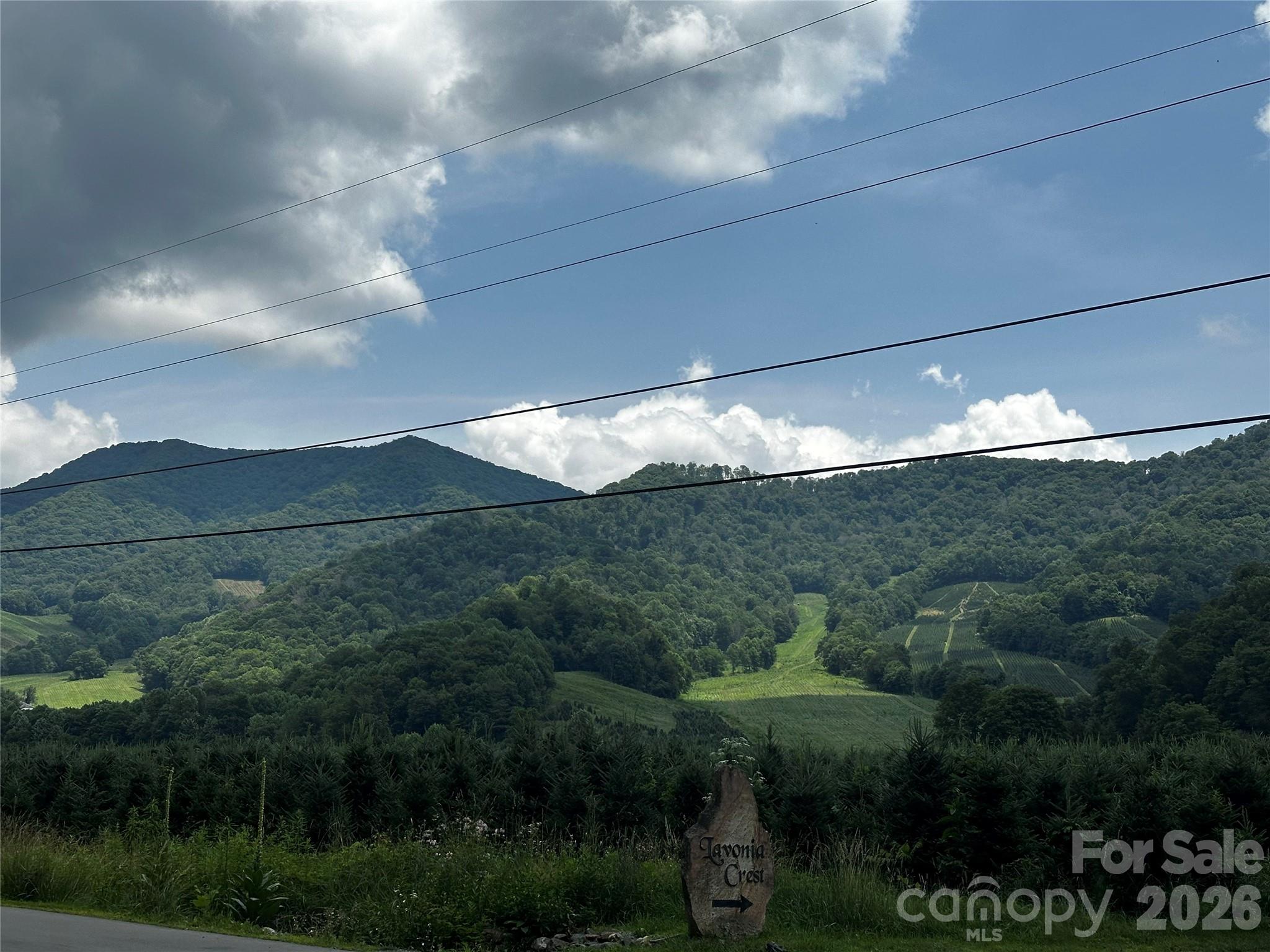 0 Green Creek Road Property Photo 1