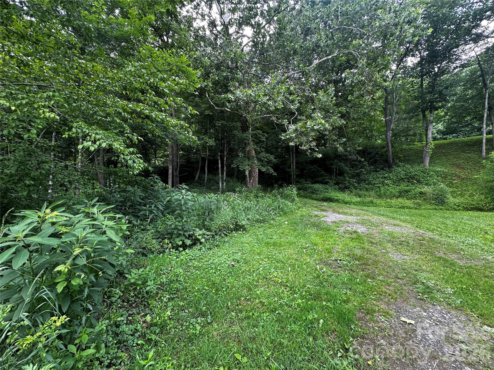 0 Green Creek Road Property Photo 2