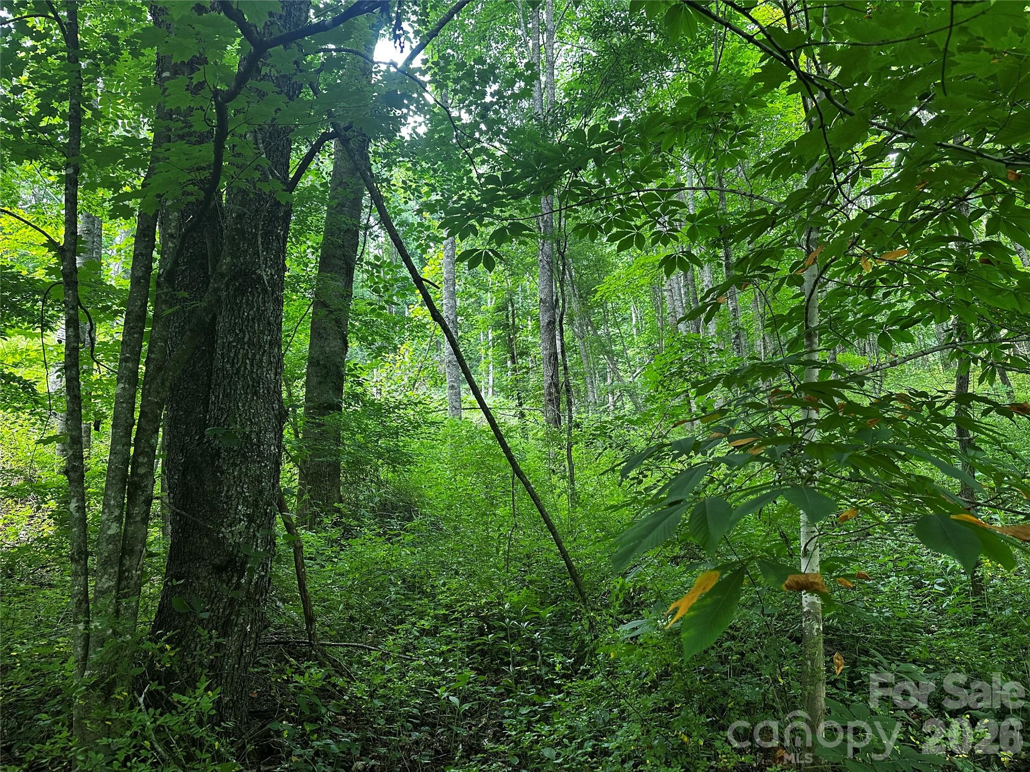 0 Green Creek Road Property Photo 3