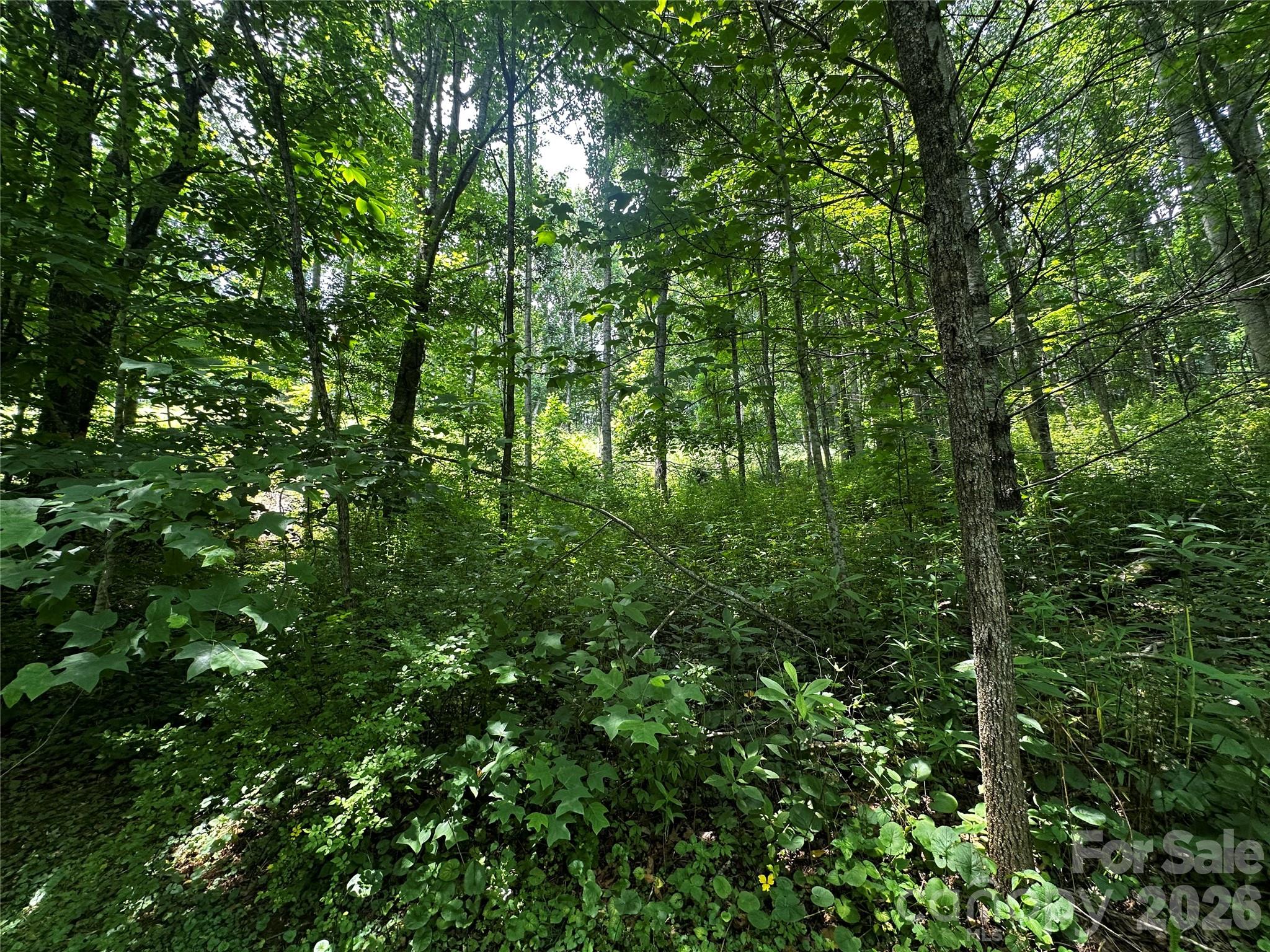0 Green Creek Road Property Photo 6