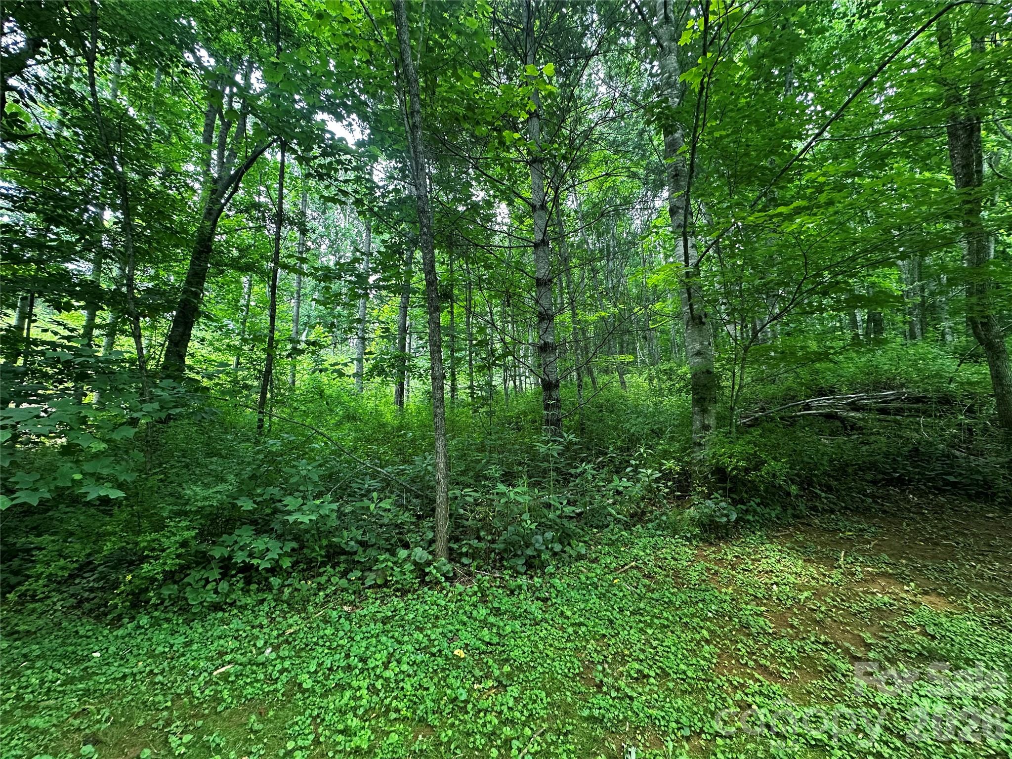 0 Green Creek Road Property Photo 7