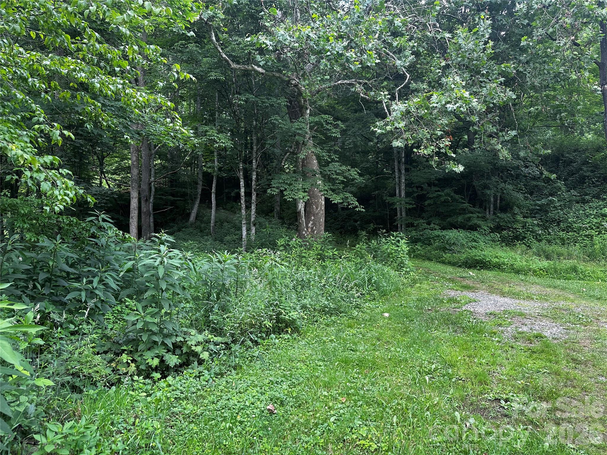 0 Green Creek Road Property Photo 8