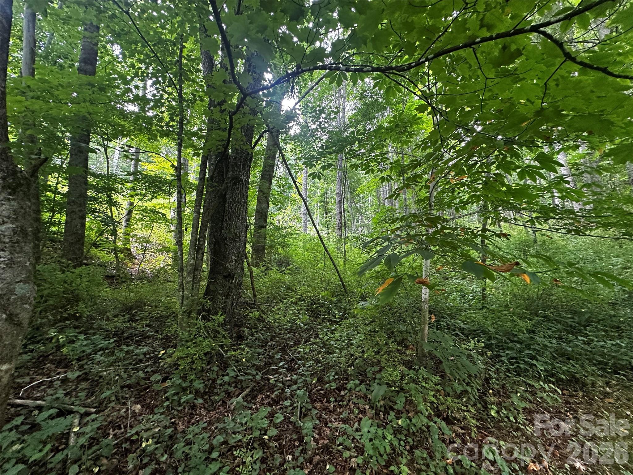 0 Green Creek Road Property Photo 9