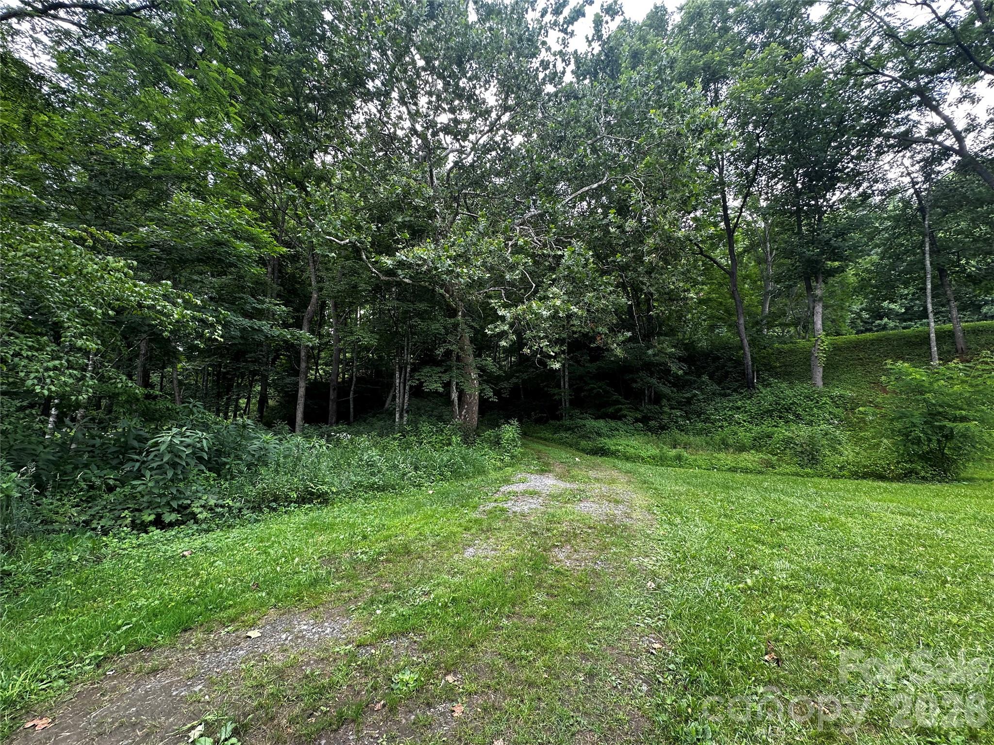 0 Green Creek Road Property Photo 10