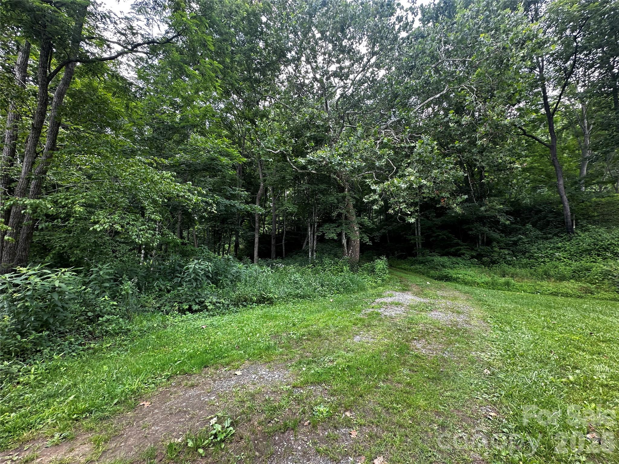 0 Green Creek Road Property Photo 11