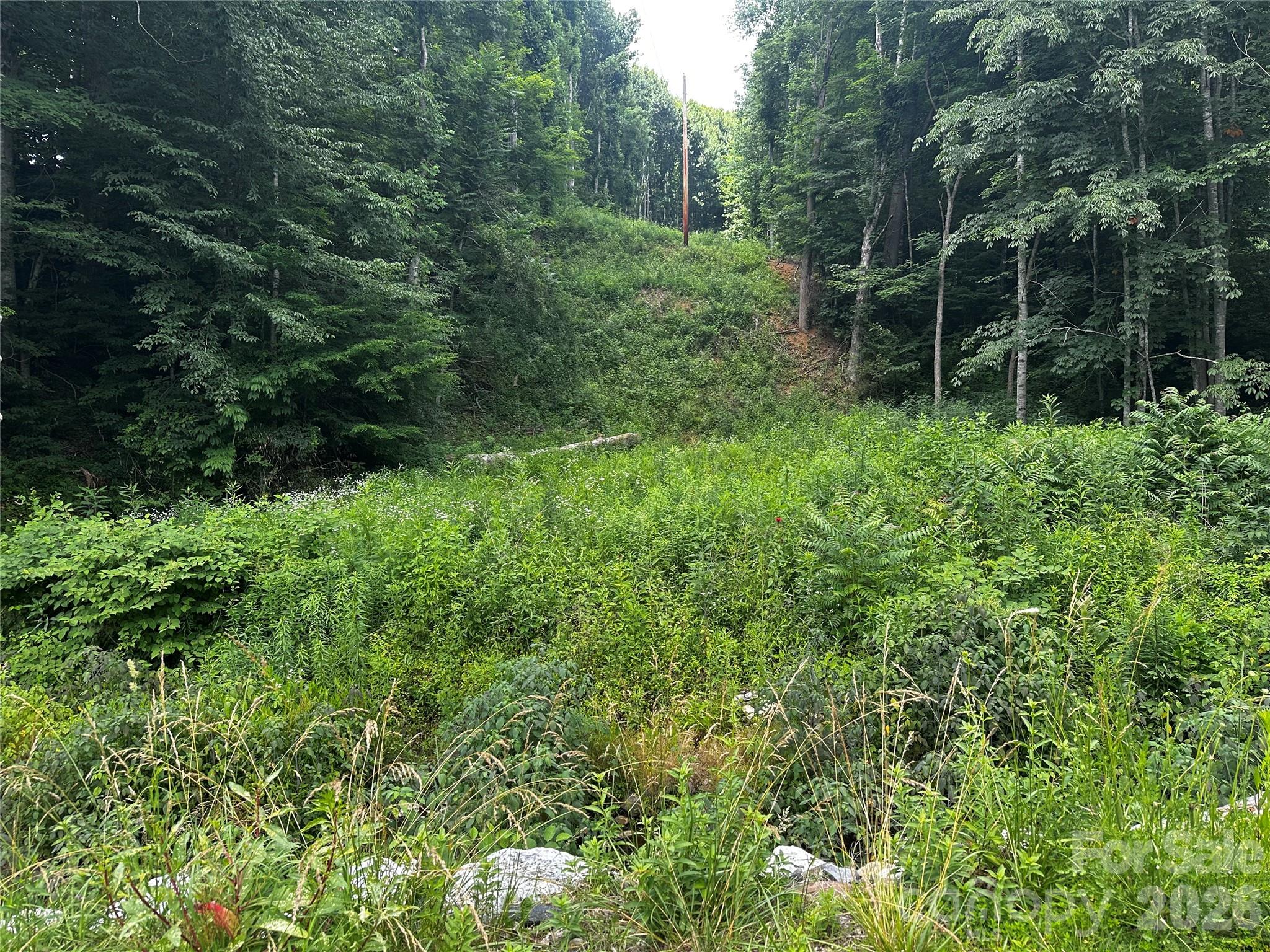0 Green Creek Road Property Photo 14