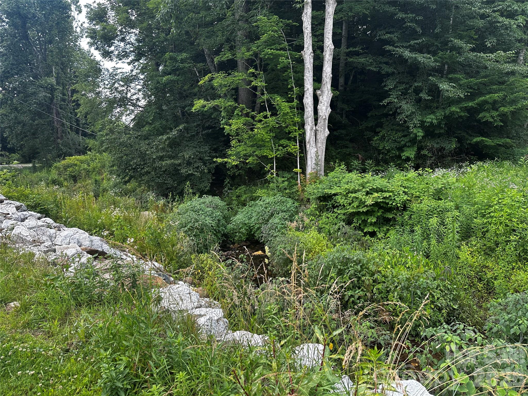 0 Green Creek Road Property Photo 15