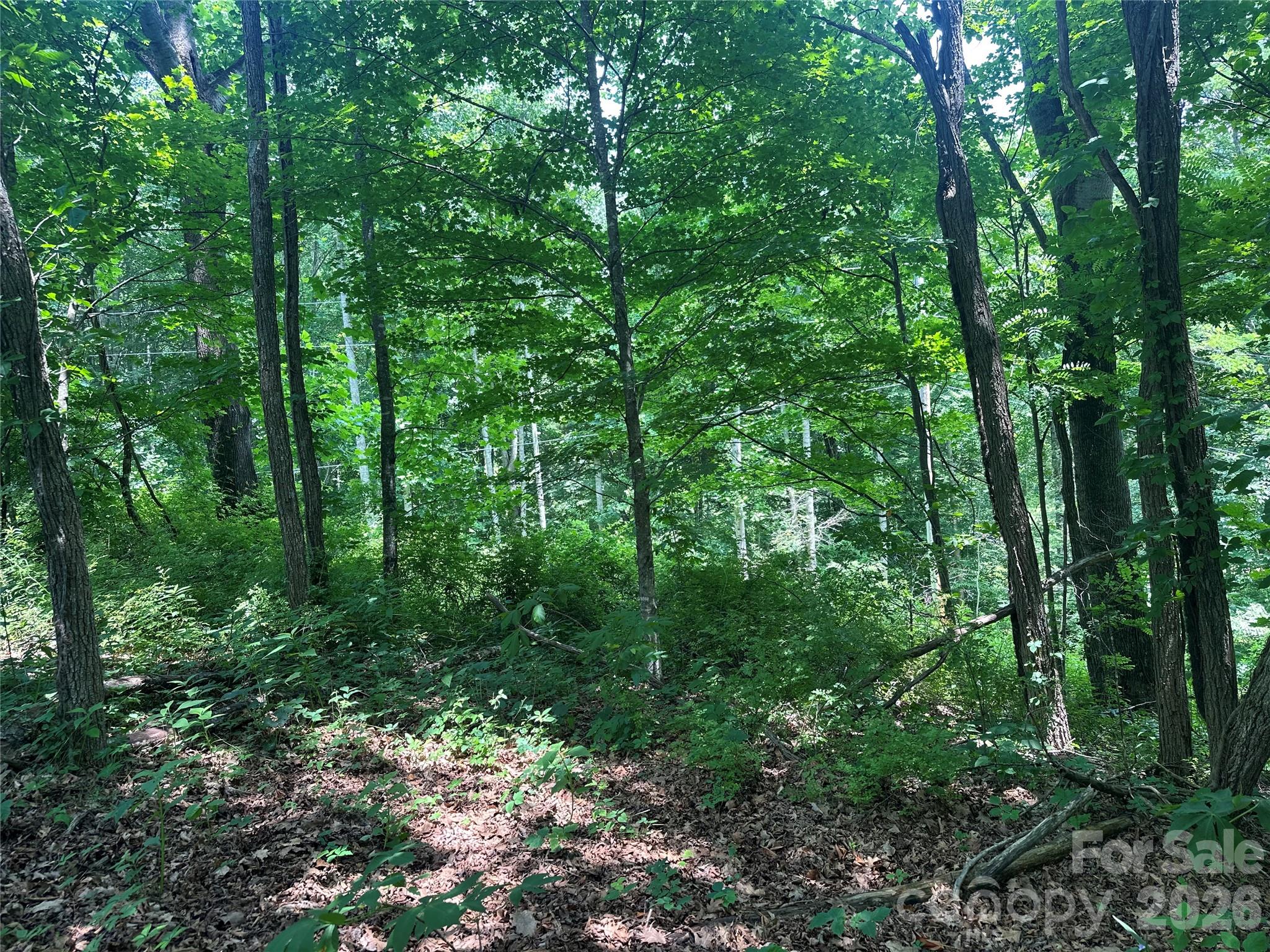 0 Green Creek Road Property Photo 17