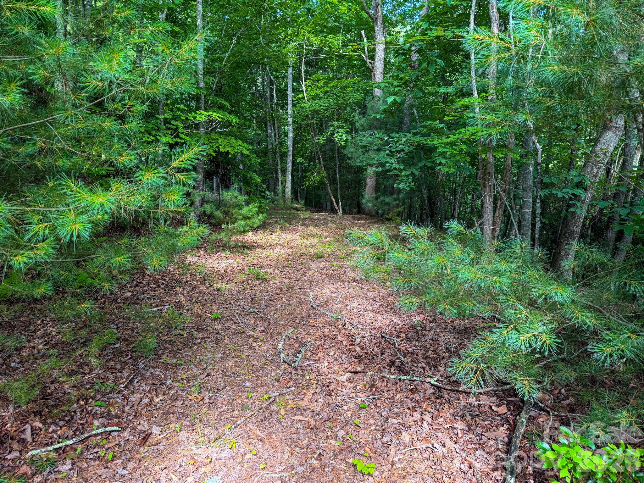 724 Streamside Drive Property Photo 5