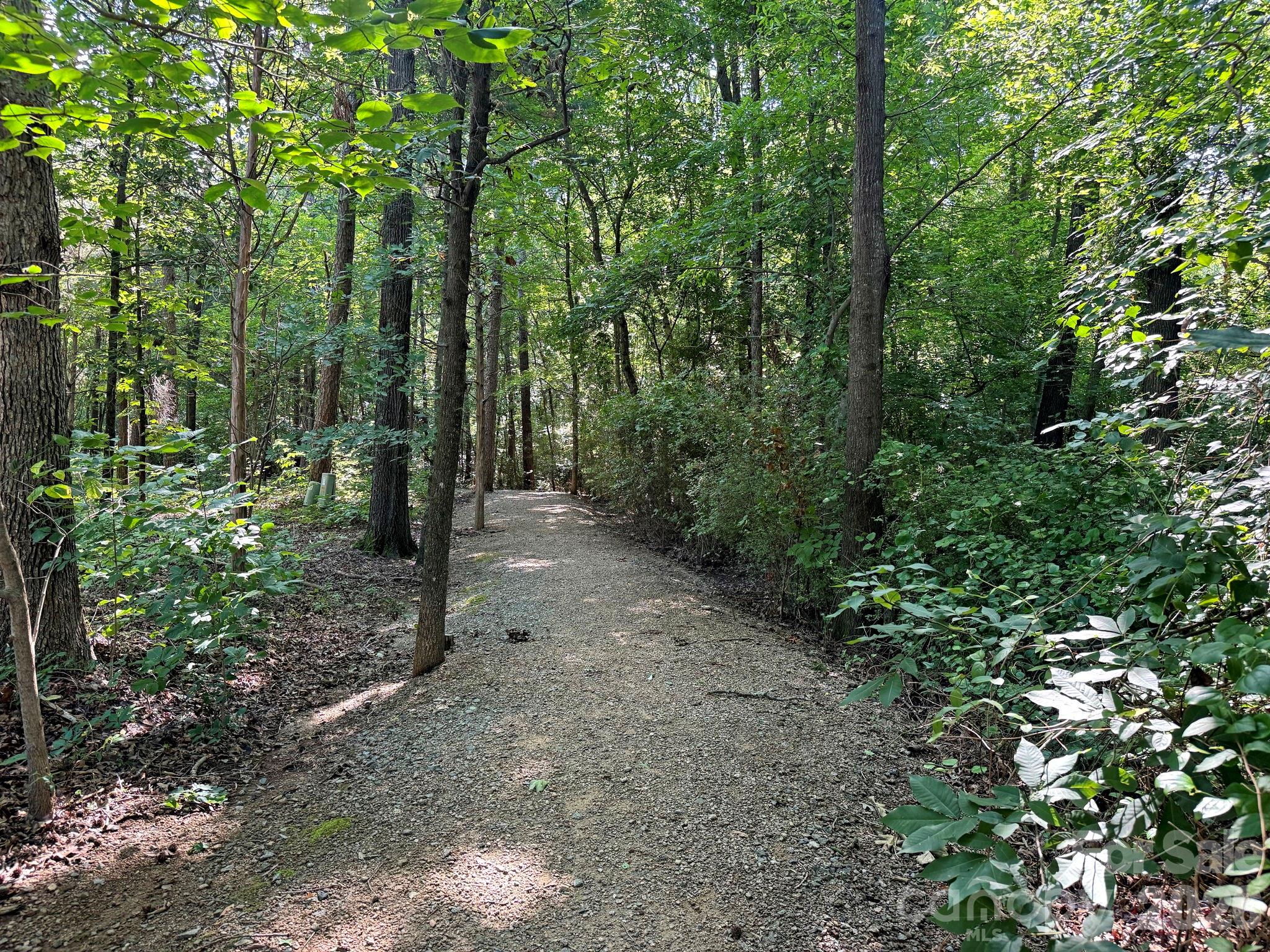 3311 Brookstone Trail Property Photo 36