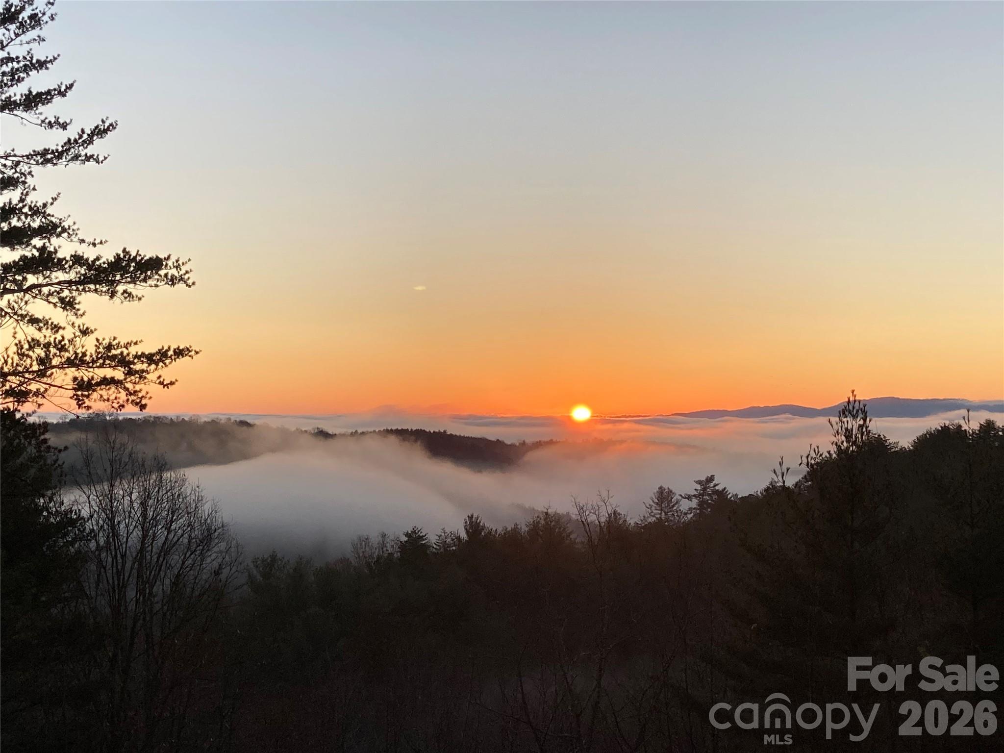 1016 Horizon Trail Property Photo 2